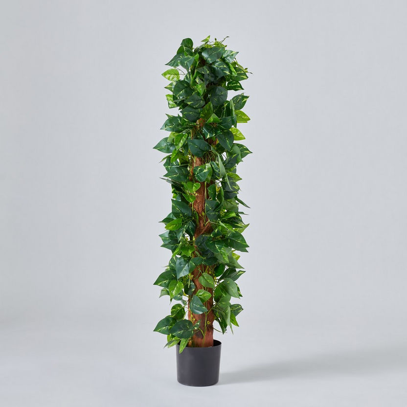 Teodora Pothos Tree - 122 cm-Artificial Flowers and Plants-image-4