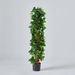Teodora Pothos Tree - 122 cm-Artificial Flowers and Plants-thumbnailMobile-4