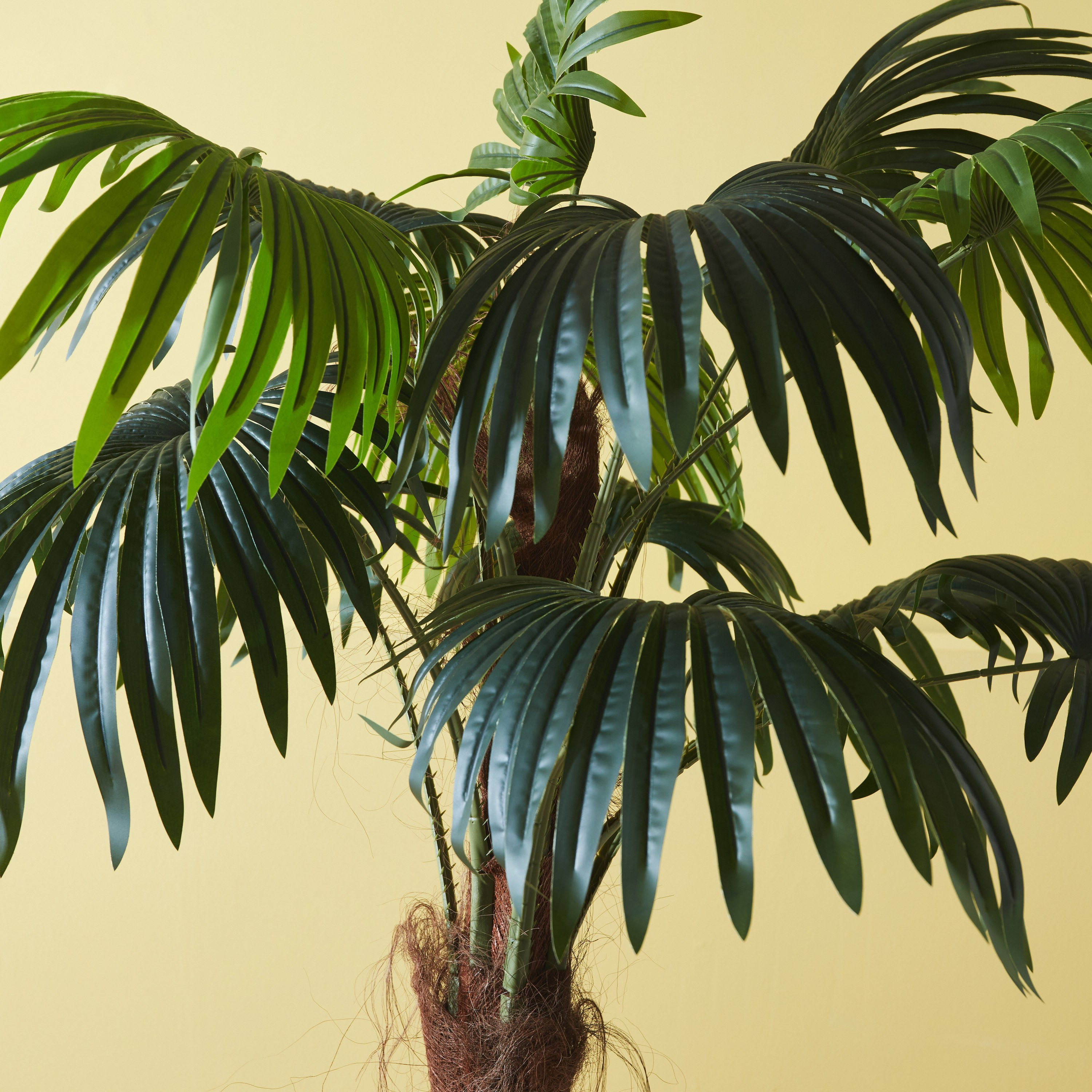 شجرة نخيل بلمسة واقعيّة من تيودورا - 180 سم-hbxdecorandfurnishings-homeaccessories-artificialflowersandplants-image-2