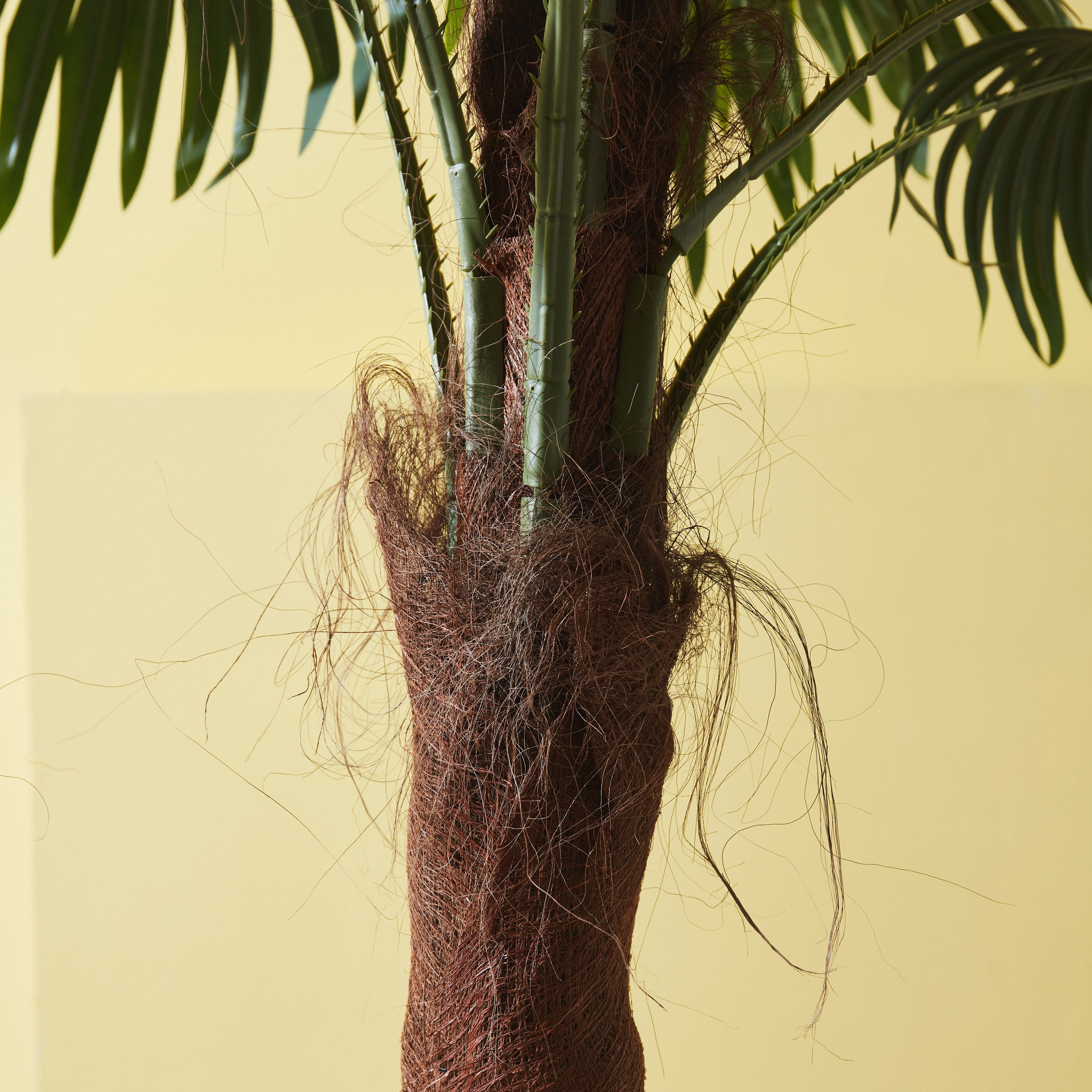 شجرة نخيل بلمسة واقعيّة من تيودورا - 180 سم-hbxdecorandfurnishings-homeaccessories-artificialflowersandplants-image-3