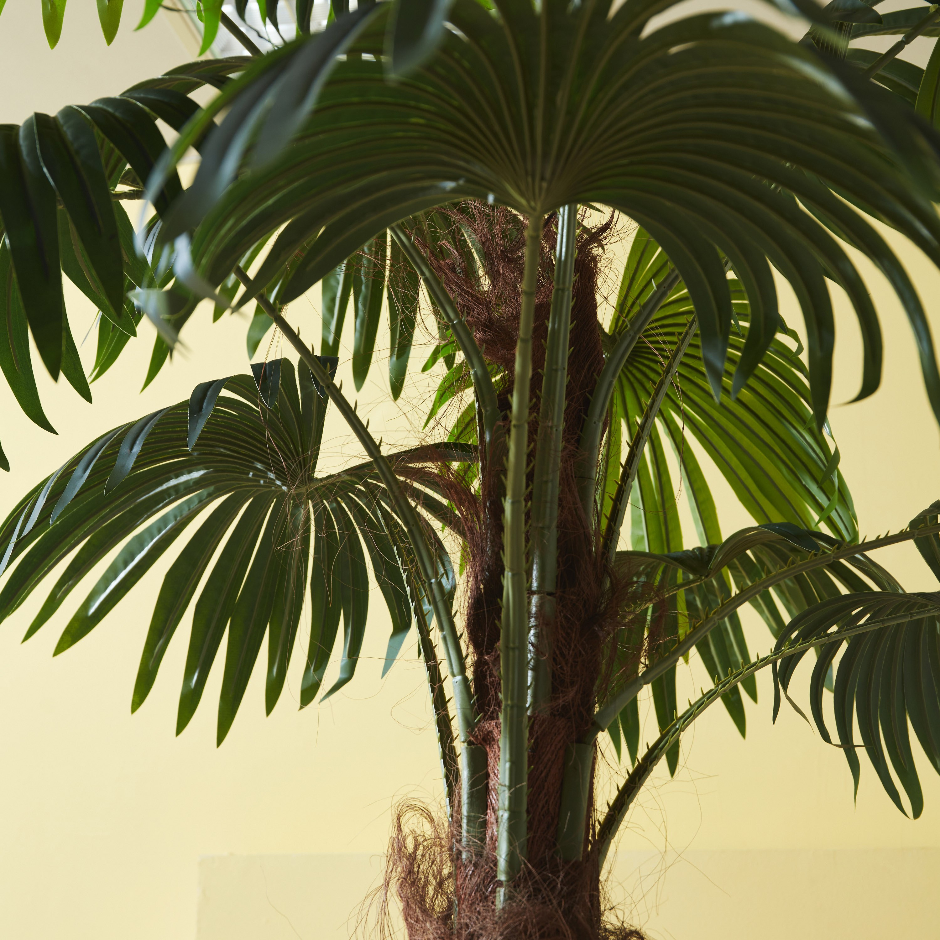 شجرة نخيل بلمسة واقعيّة من تيودورا - 180 سم-hbxdecorandfurnishings-homeaccessories-artificialflowersandplants-image-5