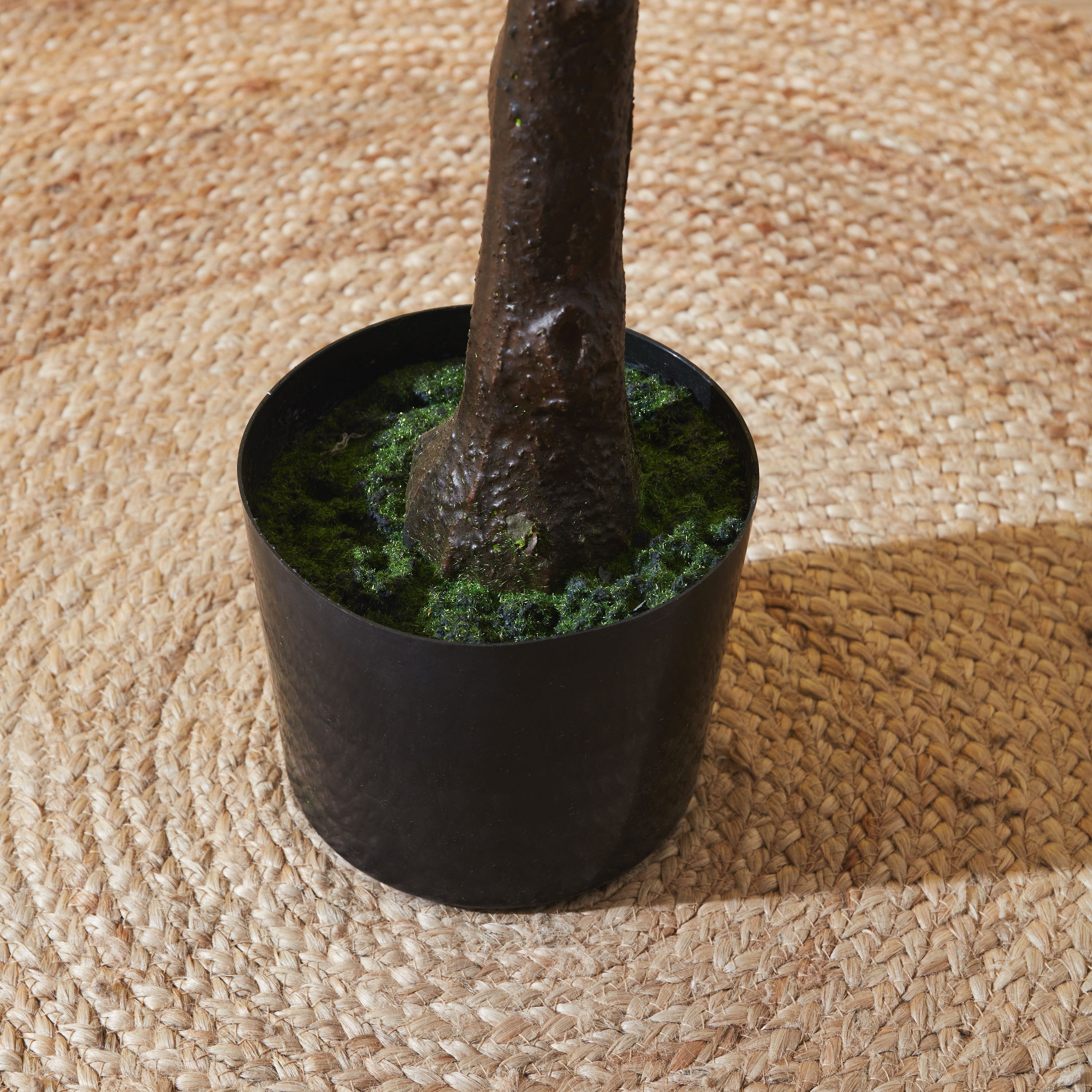 شجرة نوفيتا من تيودورا - 160 سم-hbxdecorandfurnishings-homeaccessories-artificialflowersandplants-image-4