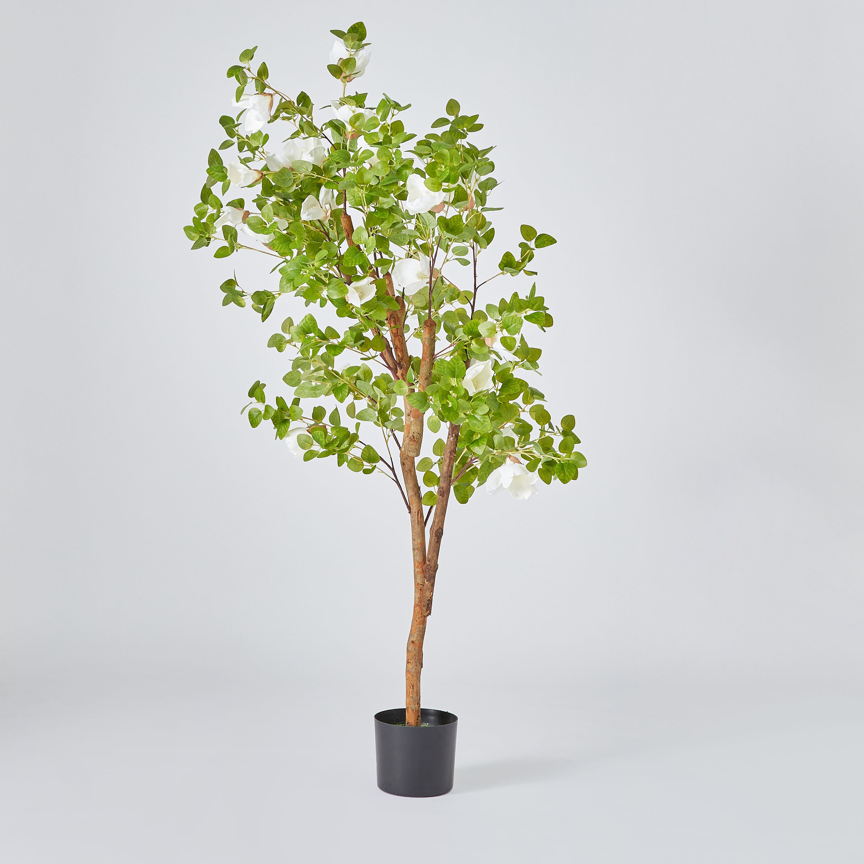 شجرة ماجنوليا مع زهور بيضاء من تيودورا- 158 سم-hbxdecorandfurnishings-homeaccessories-artificialflowersandplants-image-6