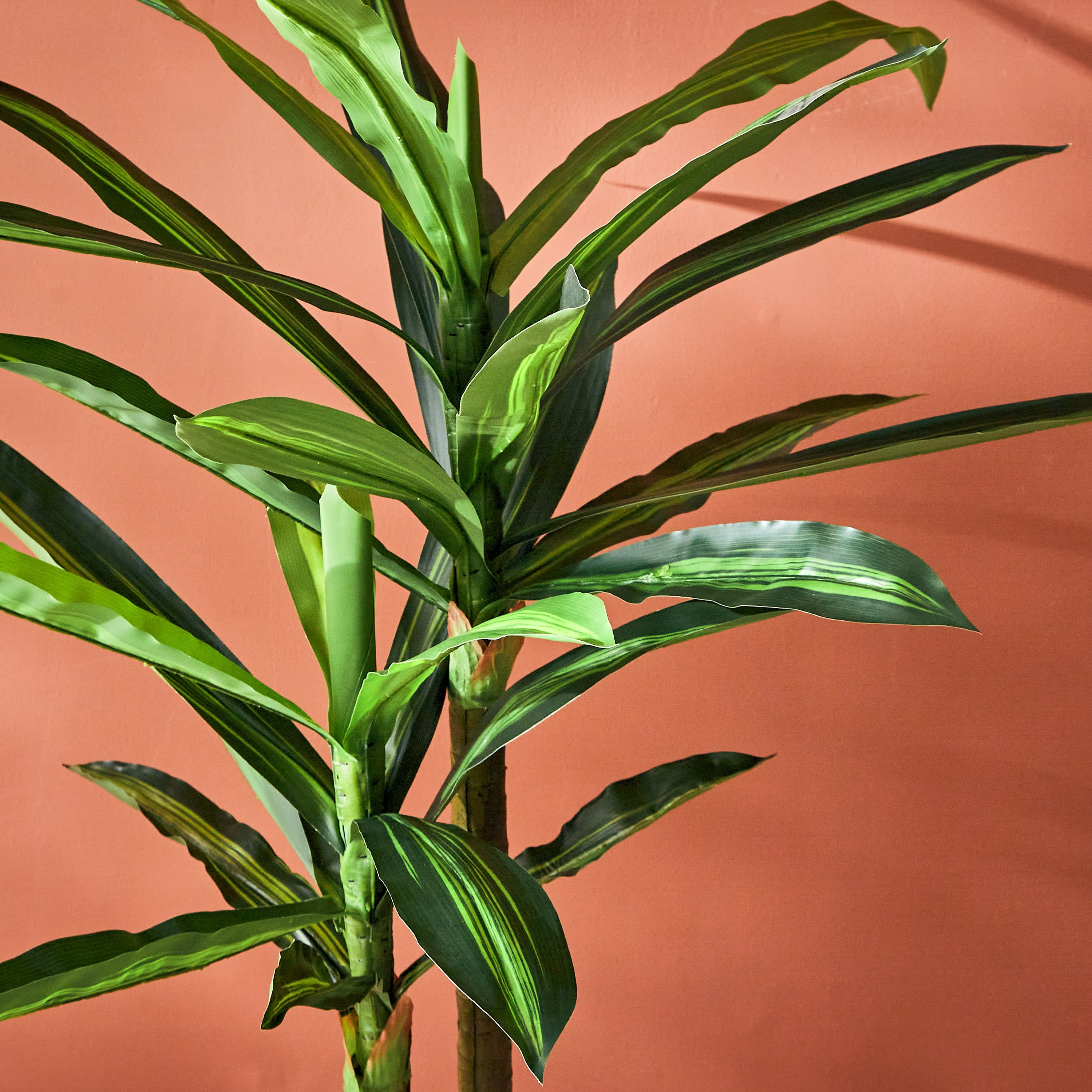 شجرة دراكاينا فراجرانس من تيودورا - 120 سم-hbxdecorandfurnishings-homeaccessories-artificialflowersandplants-image-4