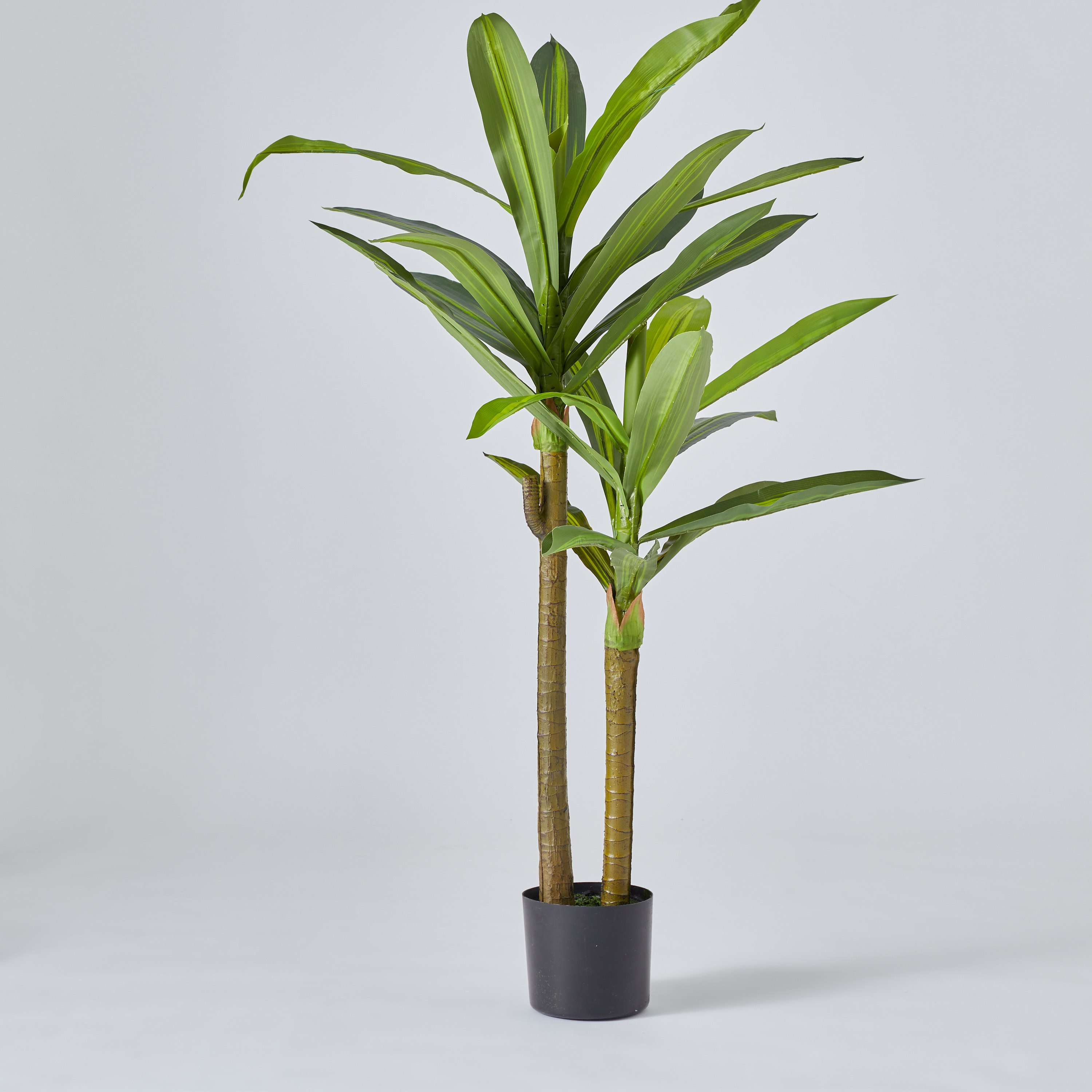 شجرة دراكاينا فراجرانس من تيودورا - 120 سم-hbxdecorandfurnishings-homeaccessories-artificialflowersandplants-image-6