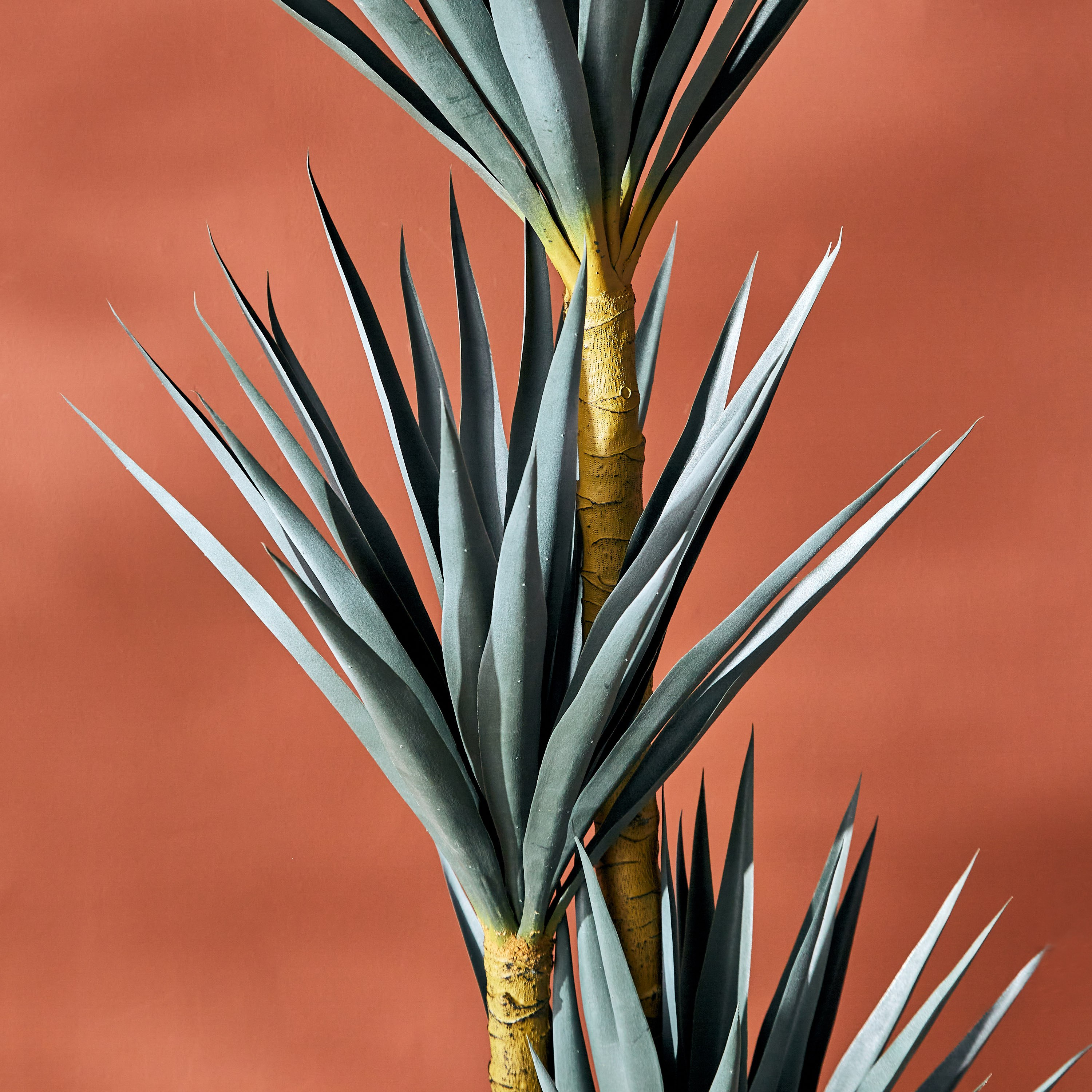 شجرة سيزال من تيودورا - 180 سم-hbxdecorandfurnishings-homeaccessories-artificialflowersandplants-image-2