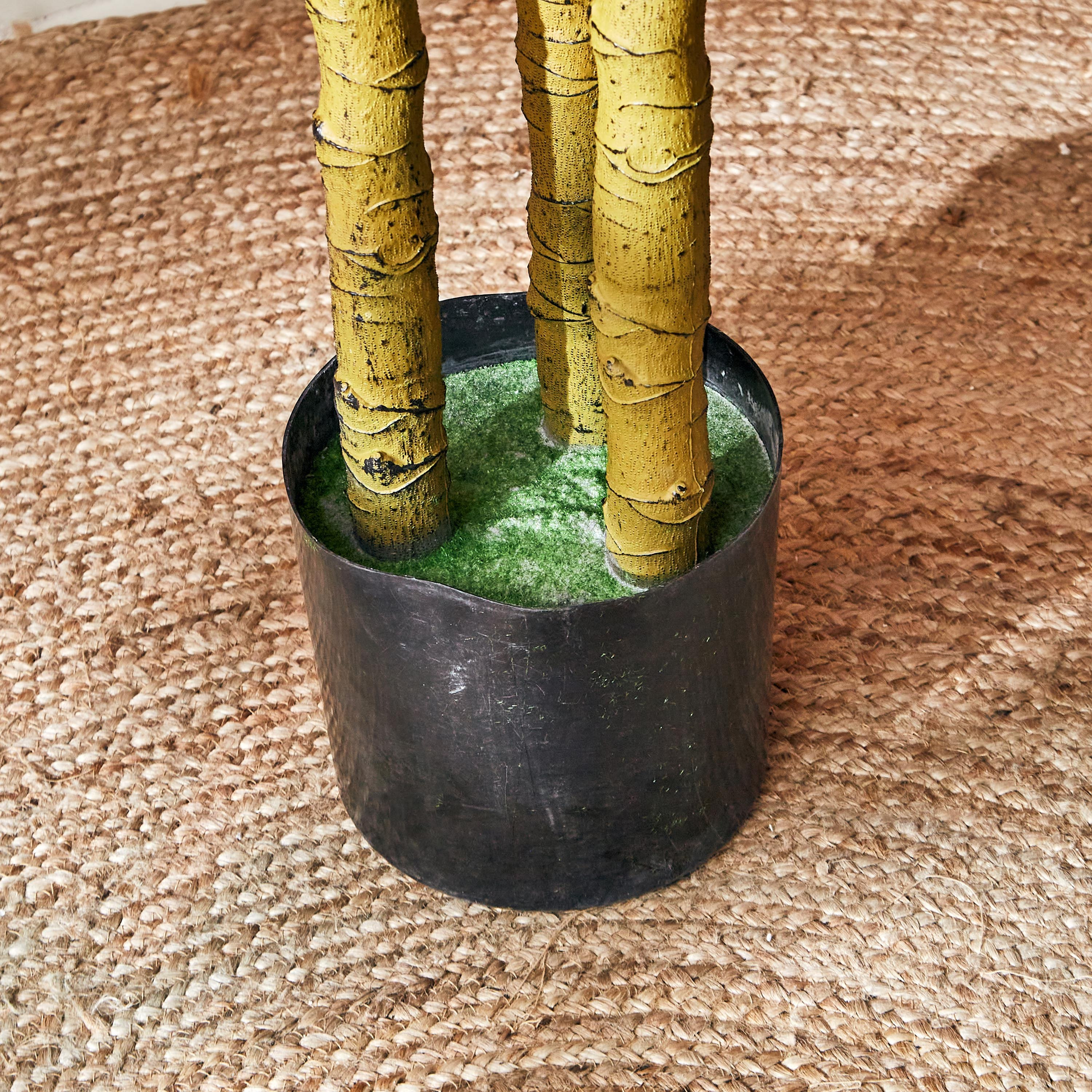 شجرة سيزال من تيودورا - 180 سم-hbxdecorandfurnishings-homeaccessories-artificialflowersandplants-image-3