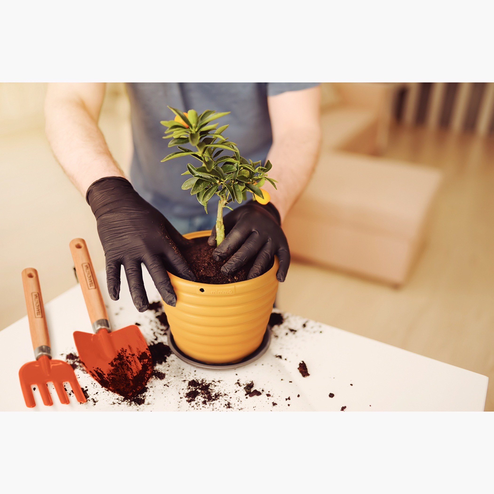 شوكة حديقة يدوية بـ4 أسنان بمقبض خشبي من ترامونتينا - 28x7 سم-hbxhomeware-hbxdecorandfurnishings-image-3