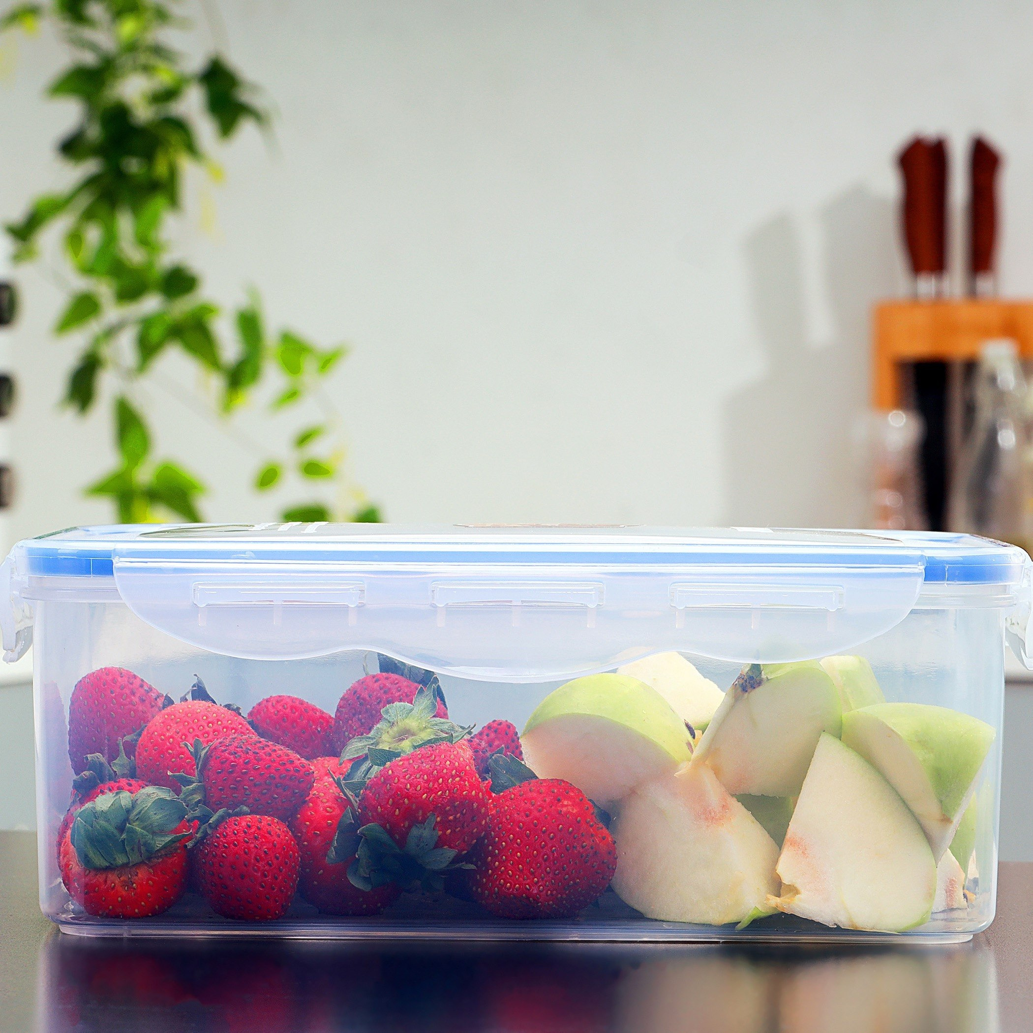 Royal Airproof Rectangular Storage Container - 2.6 L-hbxhomeware-hbxkitchen-image-1