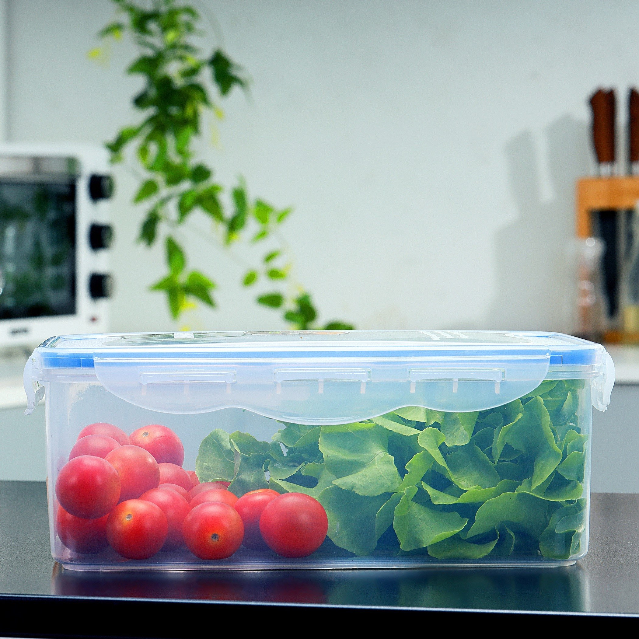 Royal Airproof Rectangular Storage Container - 2.6 L-hbxhomeware-hbxkitchen-image-5