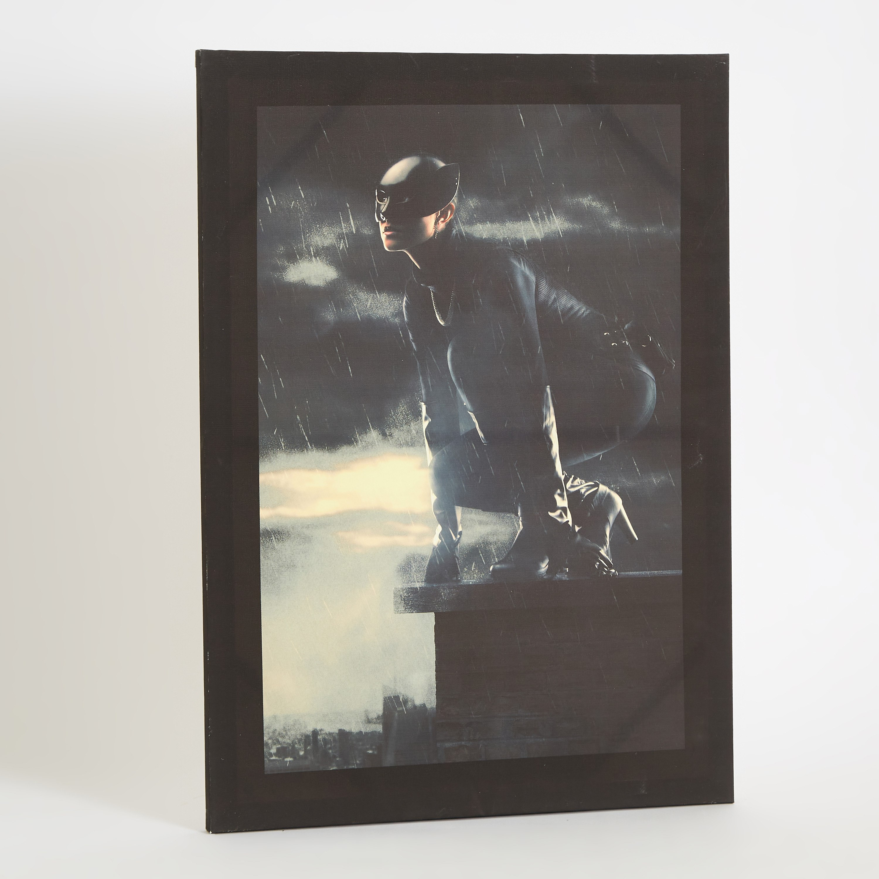 Radium 'Glow in the Dark' Catwoman On The Edge Canvas - 50x70x1.8 cm-hbxhomeware-hbxkidsandyouth-image-6