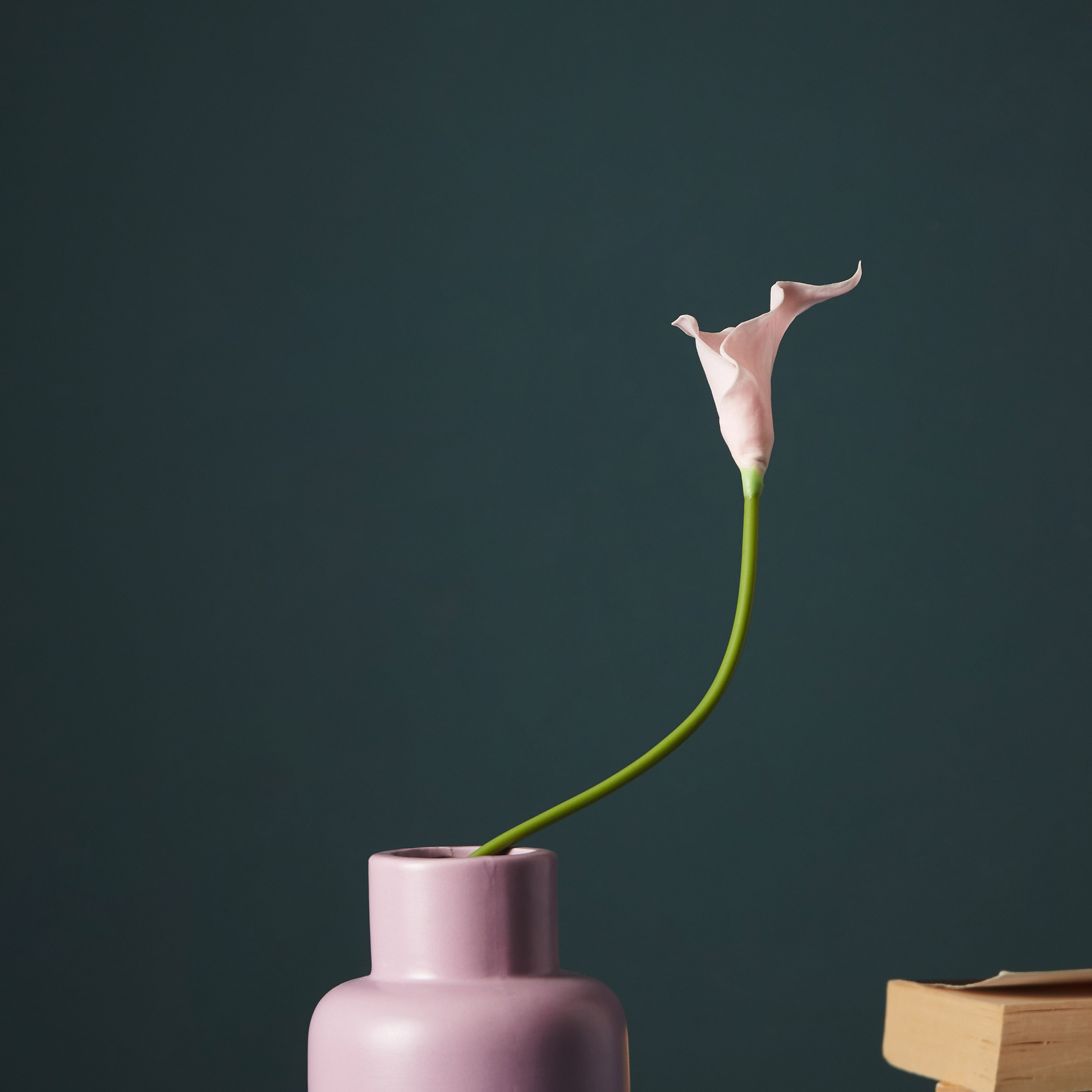 جذع زهرة ليلي من آريا - 36 سم-hbxdecorandfurnishings-homeaccessories-artificialflowersandplants-image-1