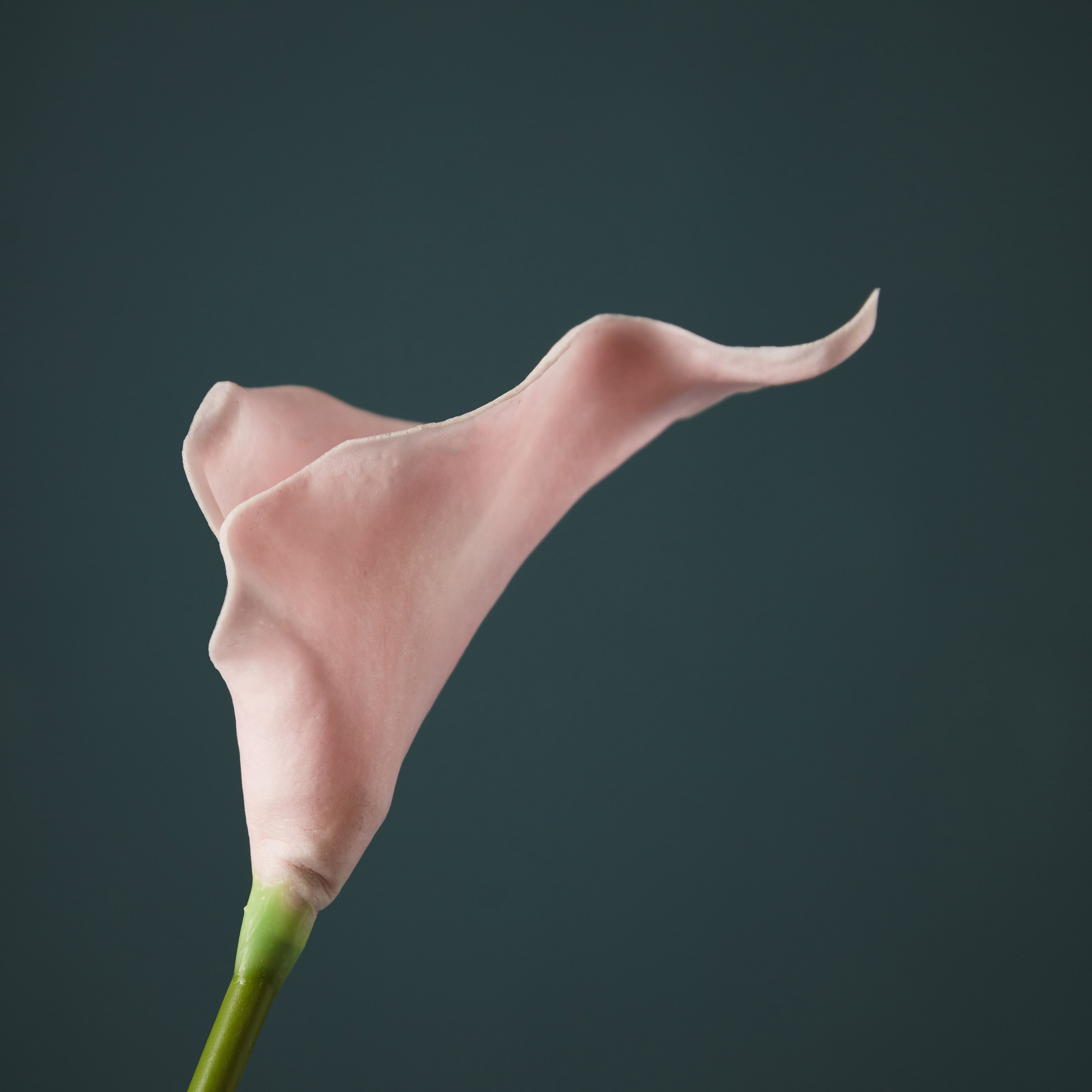 جذع زهرة ليلي من آريا - 36 سم-hbxdecorandfurnishings-homeaccessories-artificialflowersandplants-image-2