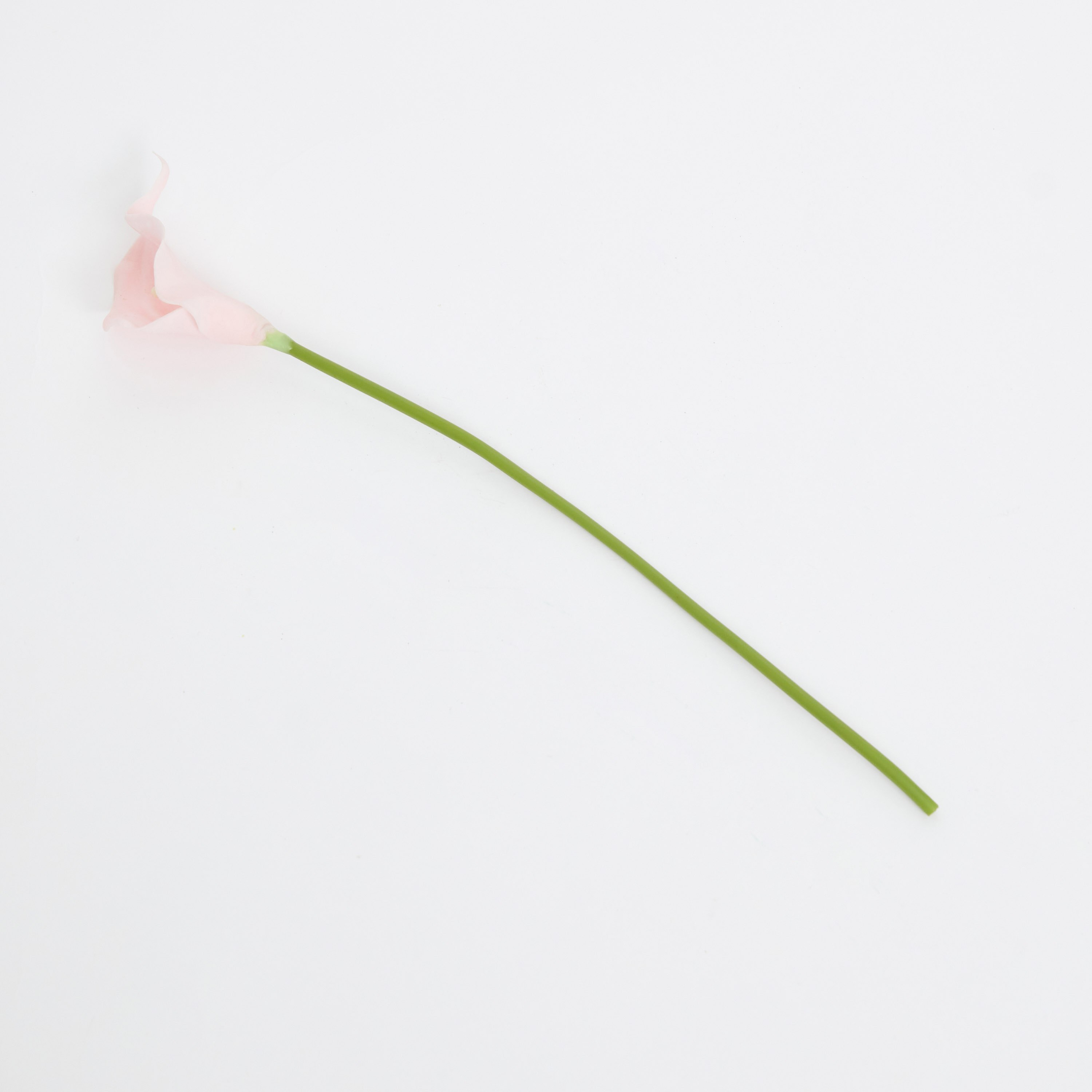 جذع زهرة ليلي من آريا - 36 سم-hbxdecorandfurnishings-homeaccessories-artificialflowersandplants-image-5