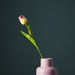 Aria Tulip Flower Stem - 36 cm-Artificial Flowers and Plants-thumbnail-0