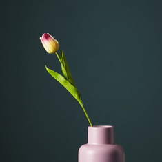 Aria Tulip Flower Stem - 36 cm