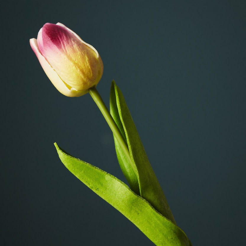 Aria Tulip Flower Stem - 36 cm-Artificial Flowers and Plants-image-1