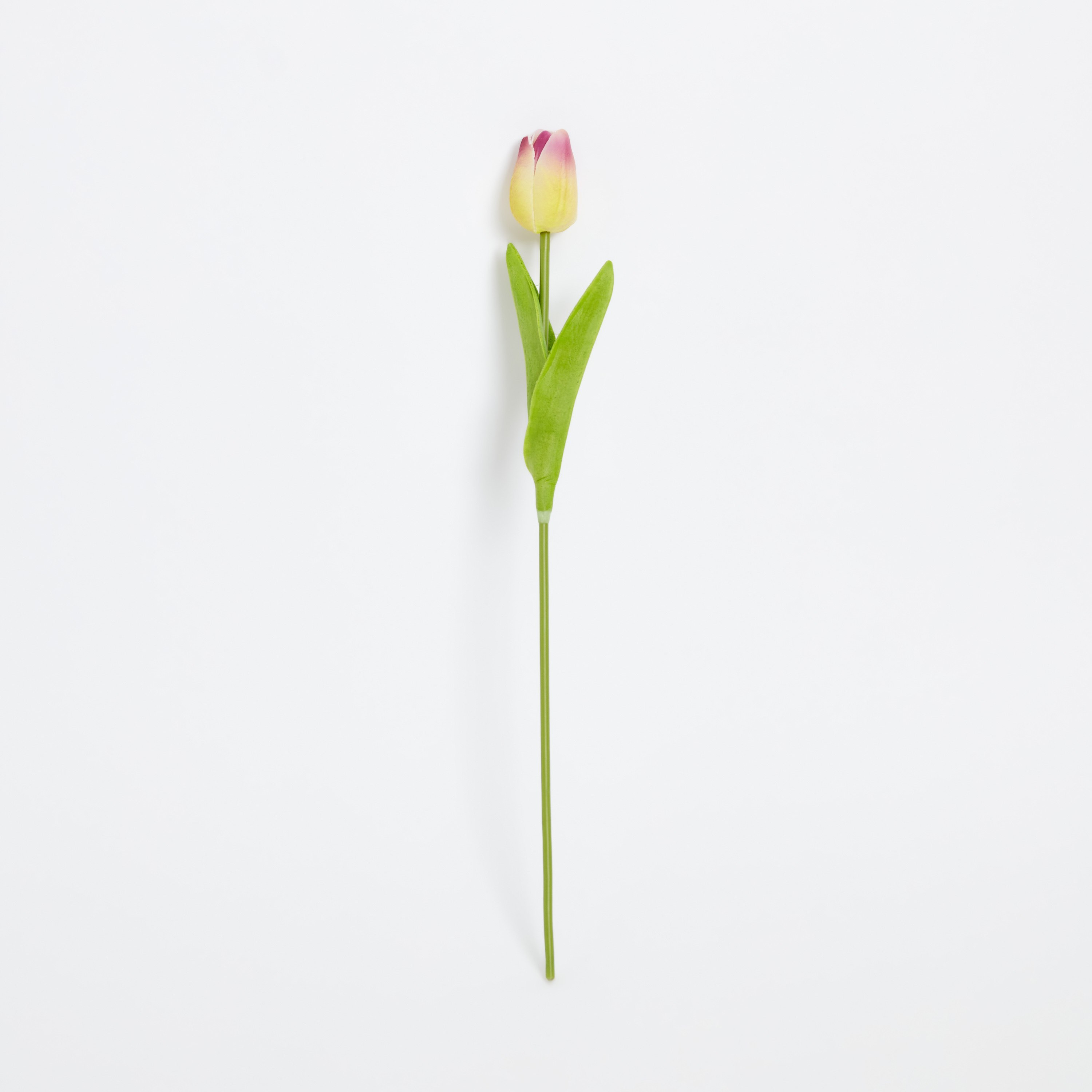 Aria Tulip Flower Stem - 36 cm-hbxdecorandfurnishings-homeaccessories-artificialflowersandplants-image-5