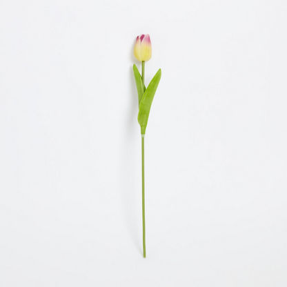 Aria Tulip Flower Stem - 36 cms