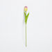 Aria Tulip Flower Stem - 36 cm-Artificial Flowers and Plants-thumbnailMobile-4