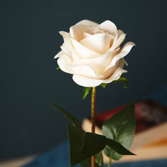 Aria Rose Flower Stem - 53 cm