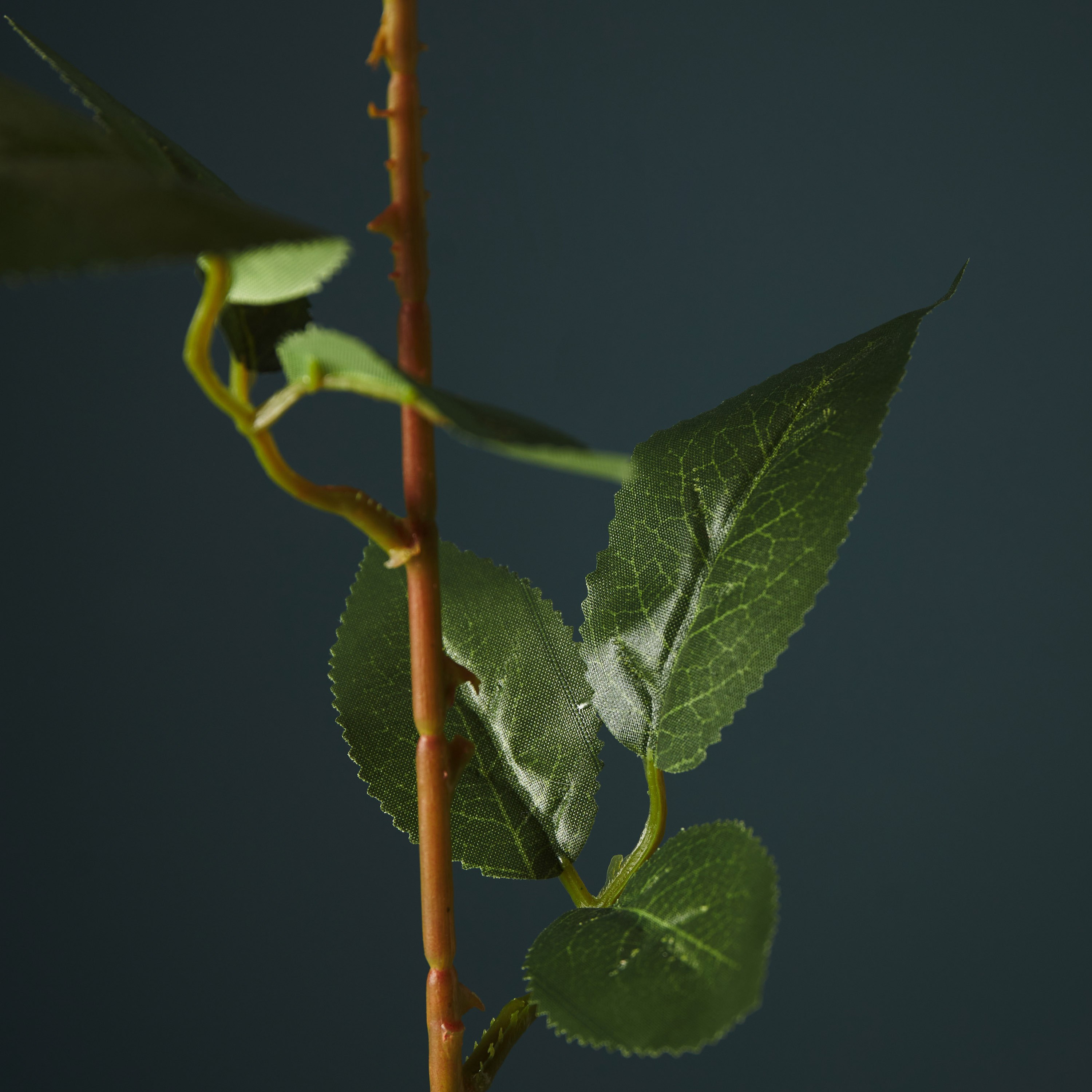 Aria Rose Flower Stem - 53 cm-hbxdecorandfurnishings-homeaccessories-artificialflowersandplants-image-2