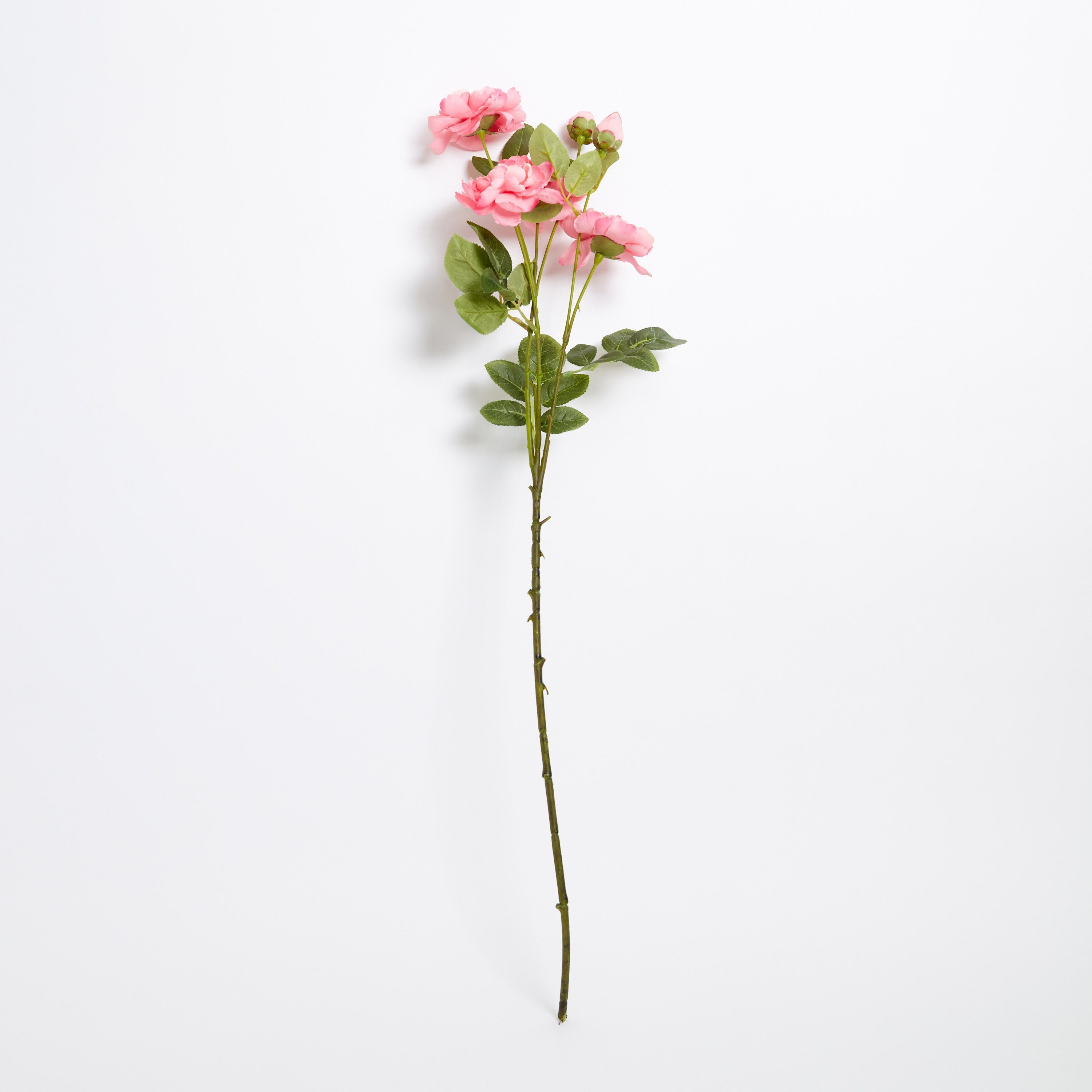 Aria 6-Heads Camellia Flowers Stem - 80 cm-hbxdecorandfurnishings-homeaccessories-artificialflowersandplants-image-5
