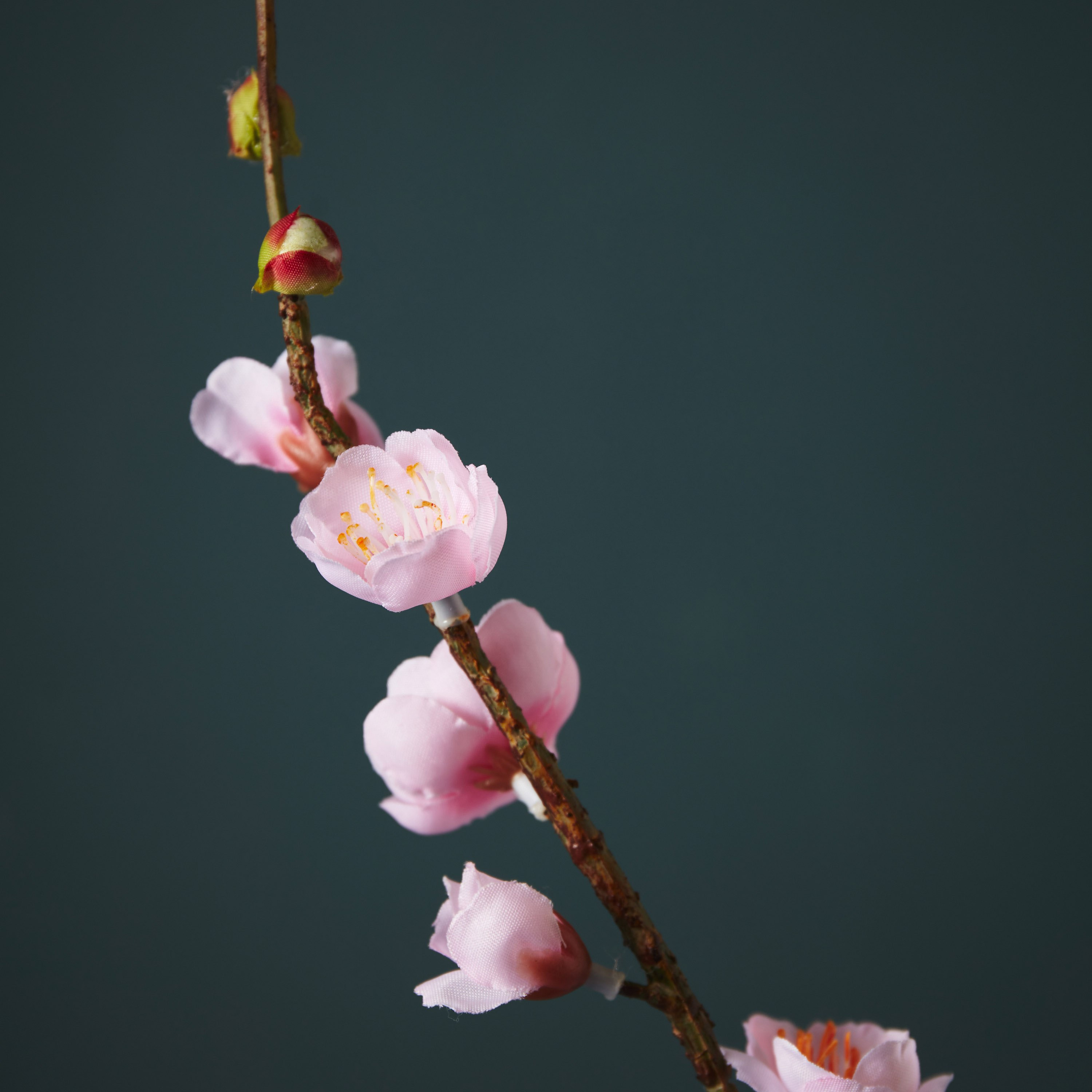 Aria Winter Sweet Flower Stem - 55 cm-hbxdecorandfurnishings-homeaccessories-artificialflowersandplants-image-3