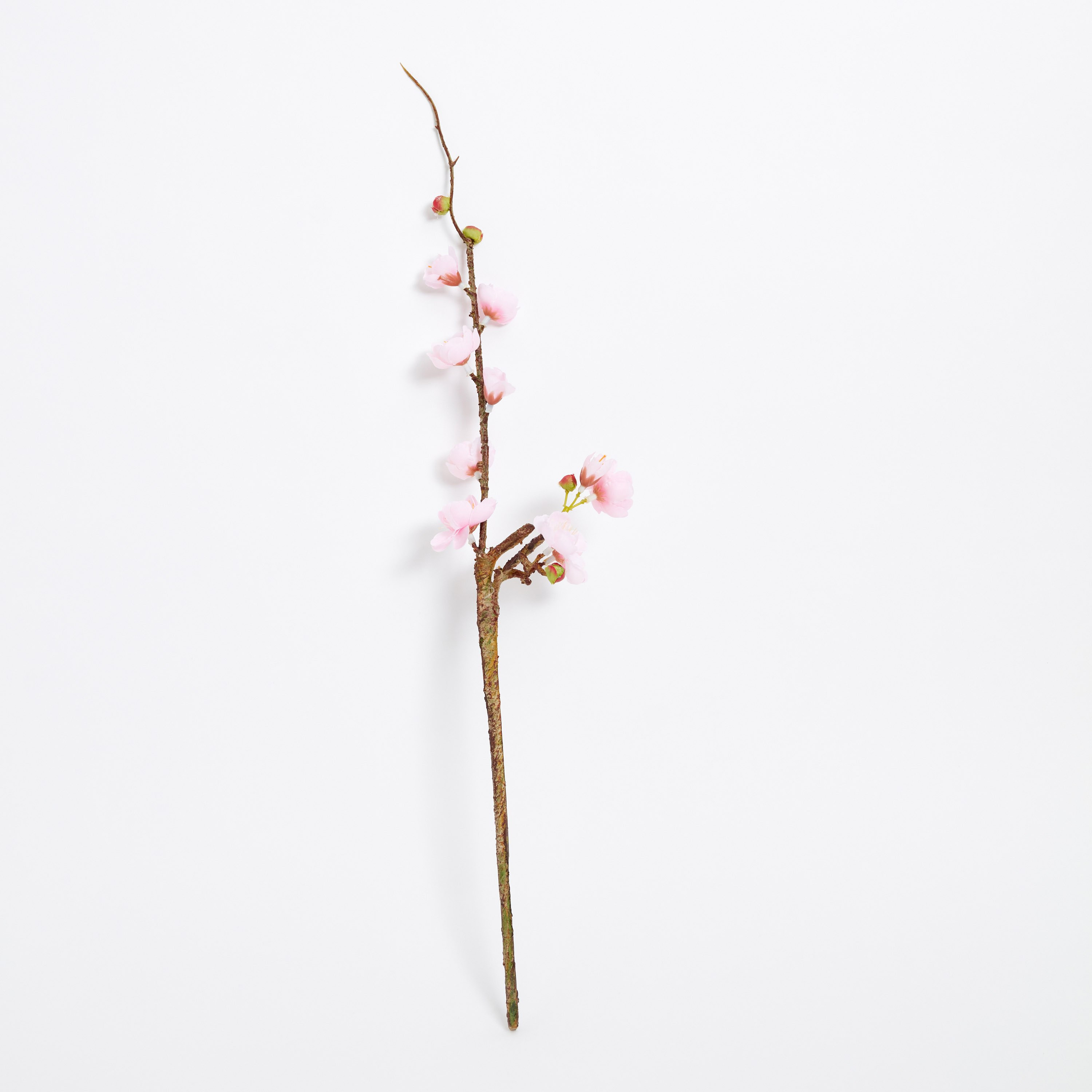 Aria Winter Sweet Flower Stem - 55 cm-hbxdecorandfurnishings-homeaccessories-artificialflowersandplants-image-5