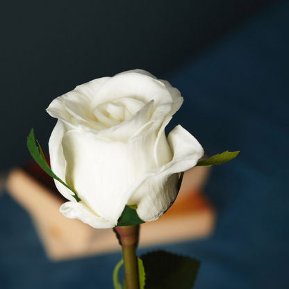 Aria Rose Flower Stem - 51 cms