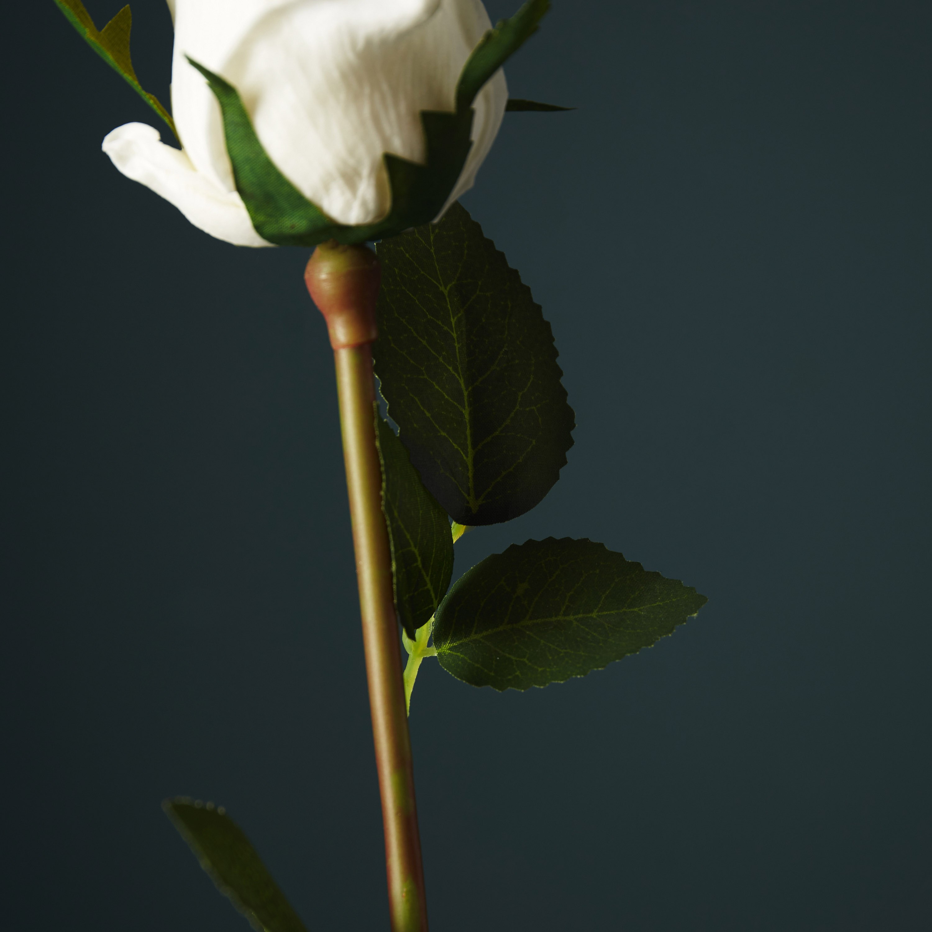 فرع زهرة من آريا - 51 سم-hbxdecorandfurnishings-homeaccessories-artificialflowersandplants-image-3