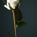 Aria Rose Flower Stem - 51 cm-Artificial Flowers and Plants-thumbnailMobile-2