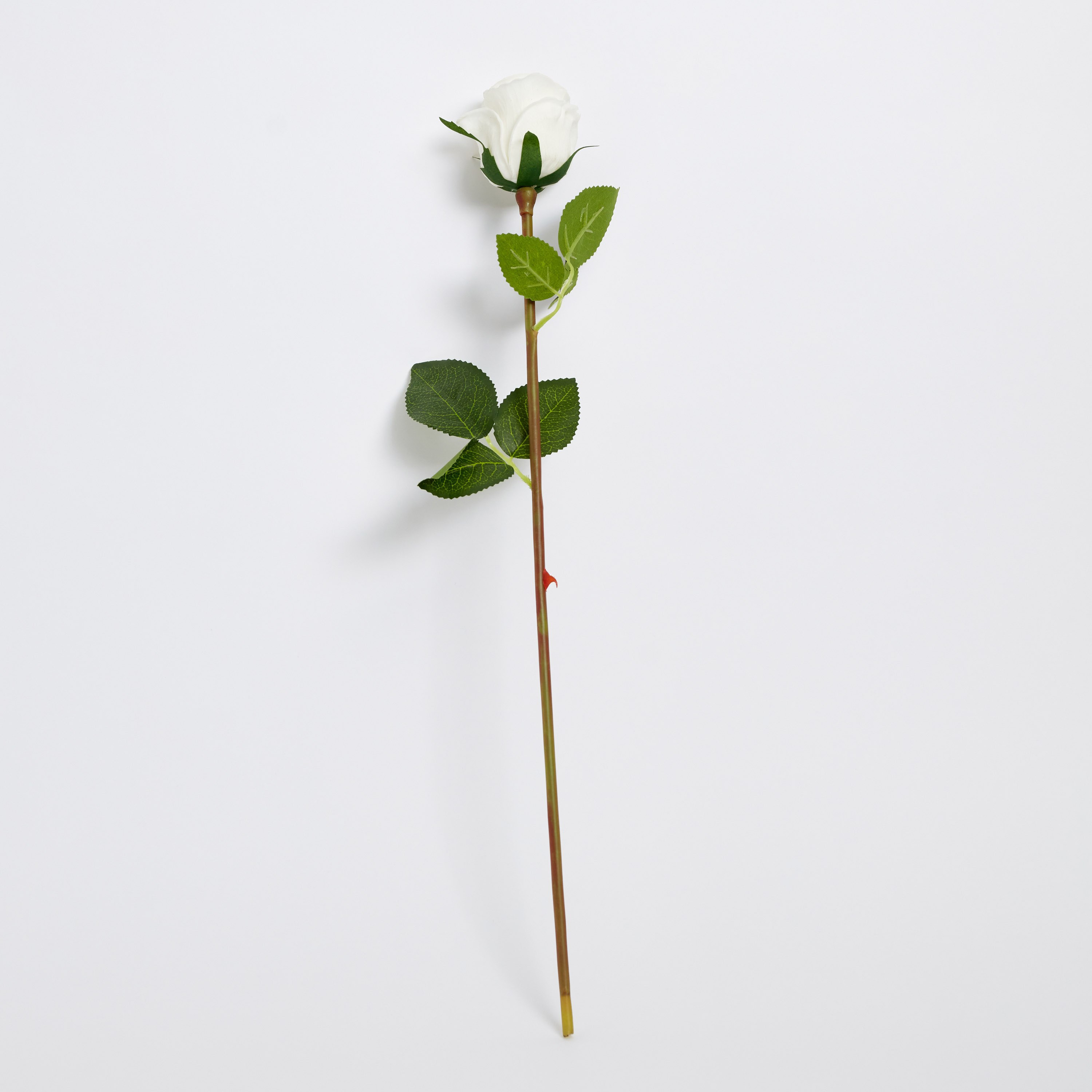 فرع زهرة من آريا - 51 سم-hbxdecorandfurnishings-homeaccessories-artificialflowersandplants-image-5