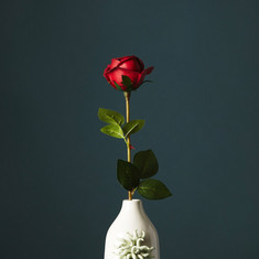 Aria Rose Flower Stem - 51 cm