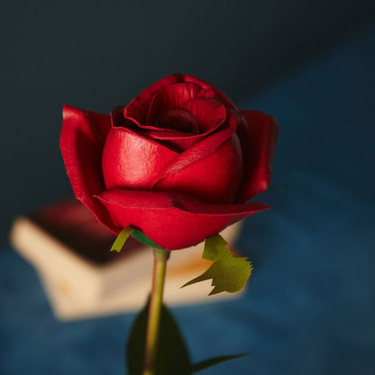Aria Rose Flower Stem - 51 cm