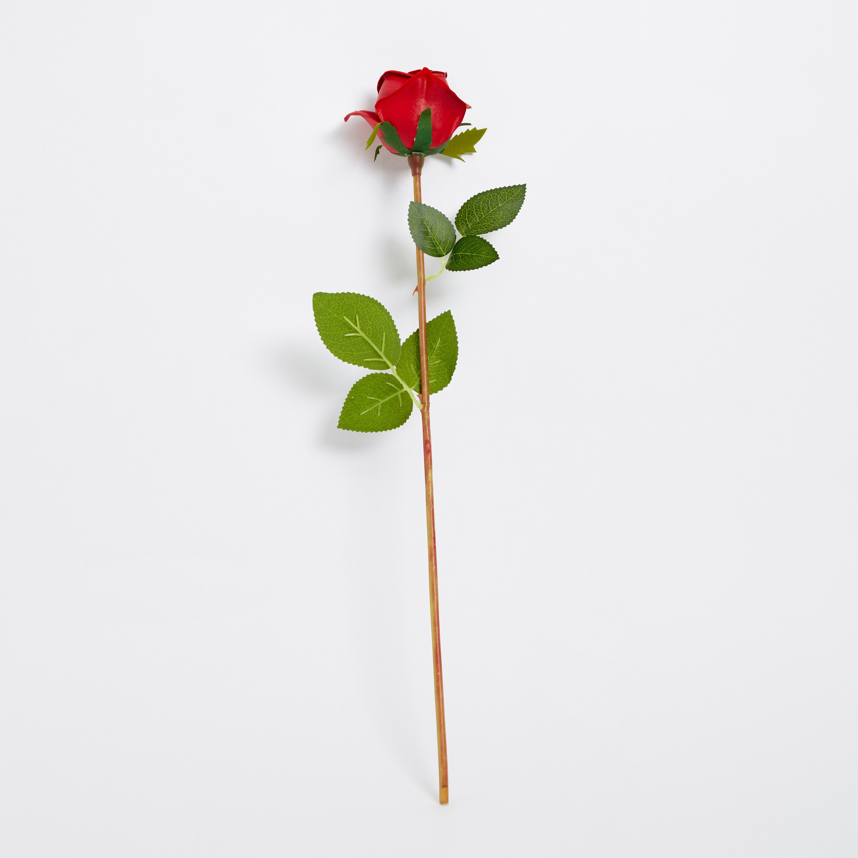 جذع زهرة من آريا - 51 سم-hbxdecorandfurnishings-homeaccessories-artificialflowersandplants-image-5