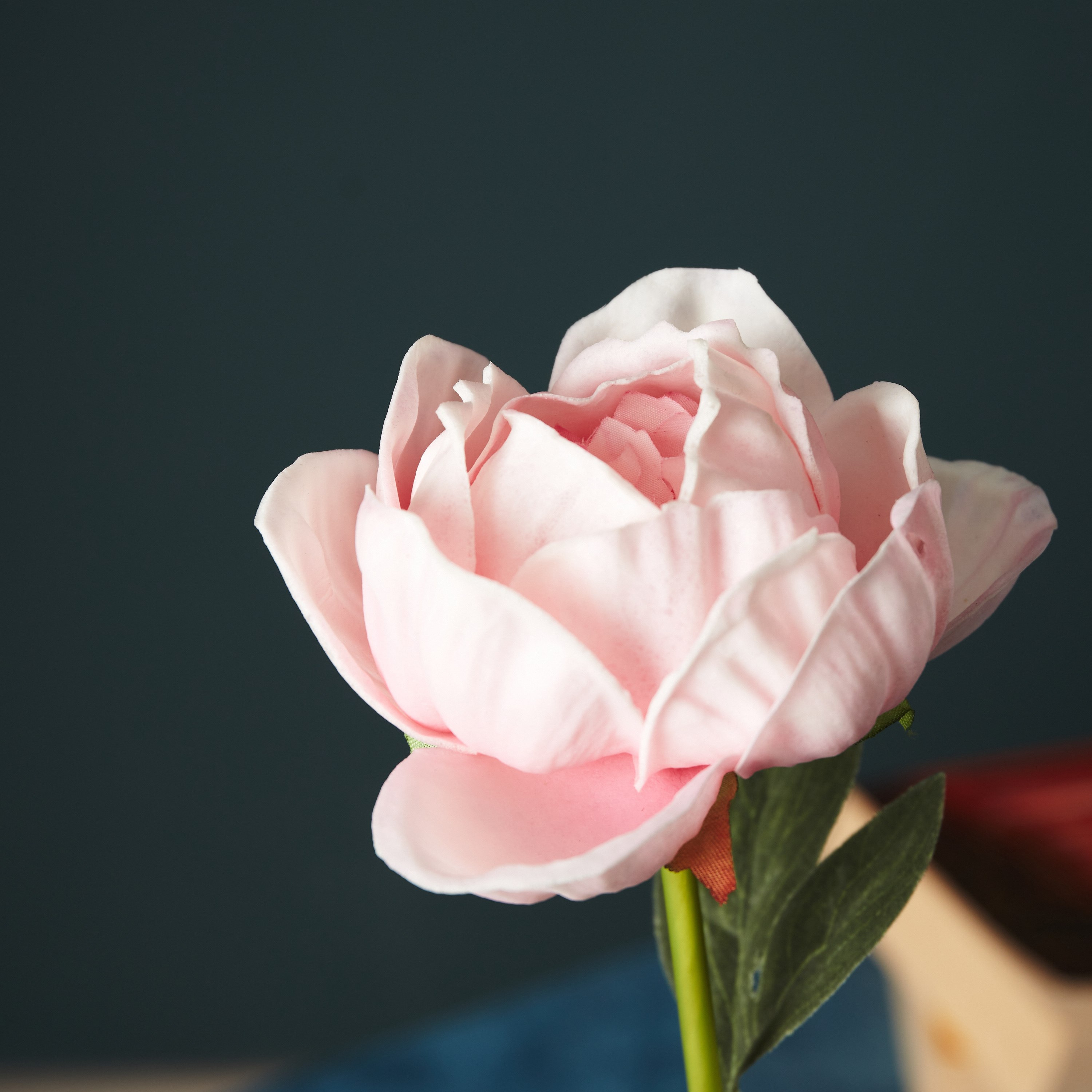 جذع زهرة بولي يوريثان من آريا - 51 سم-hbxdecorandfurnishings-homeaccessories-artificialflowersandplants-image-1