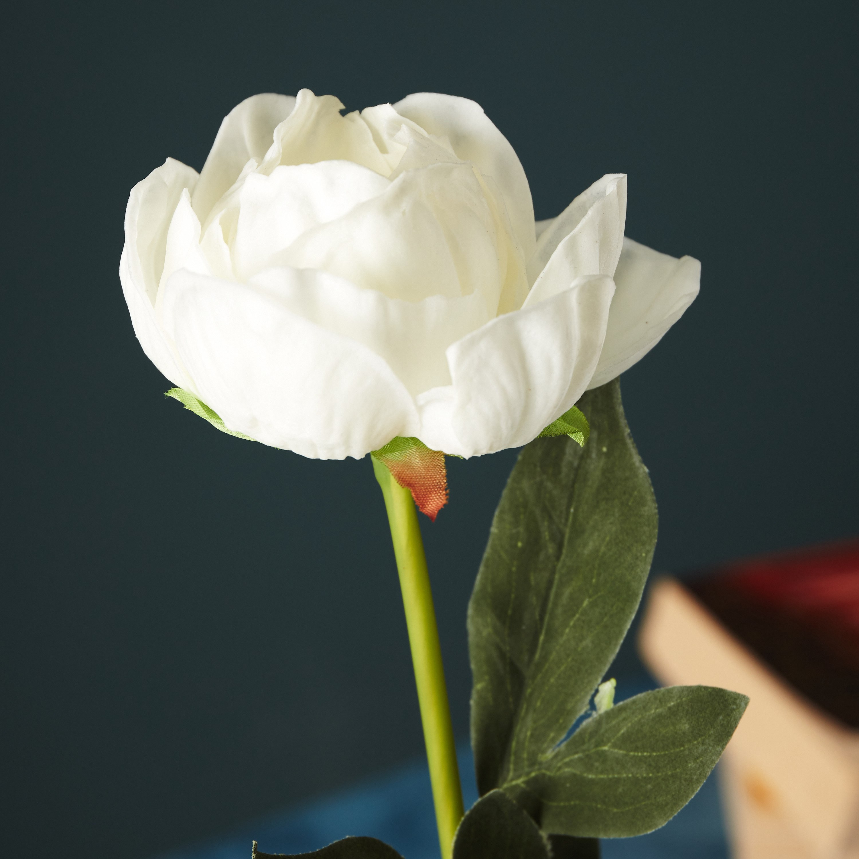 جذع زهرة من آريا - 51 سم-hbxdecorandfurnishings-homeaccessories-artificialflowersandplants-image-2