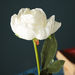 Aria Rose Stick - 51 cm-Artificial Flowers and Plants-thumbnailMobile-1