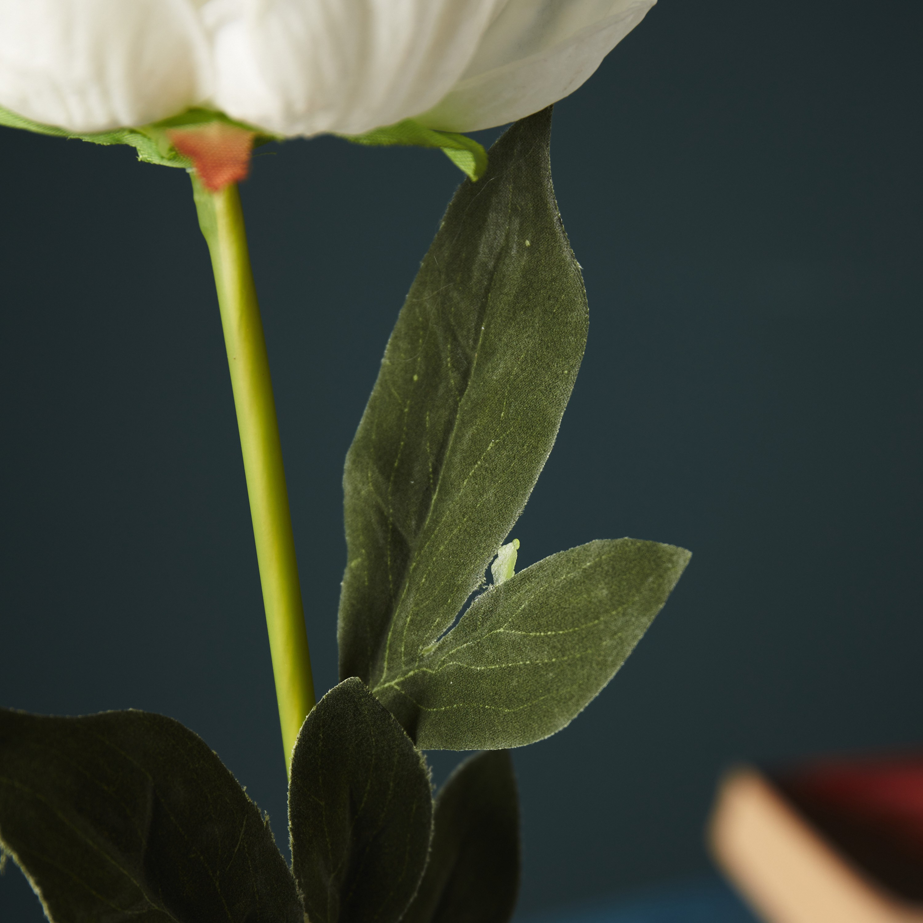 جذع زهرة من آريا - 51 سم-hbxdecorandfurnishings-homeaccessories-artificialflowersandplants-image-3