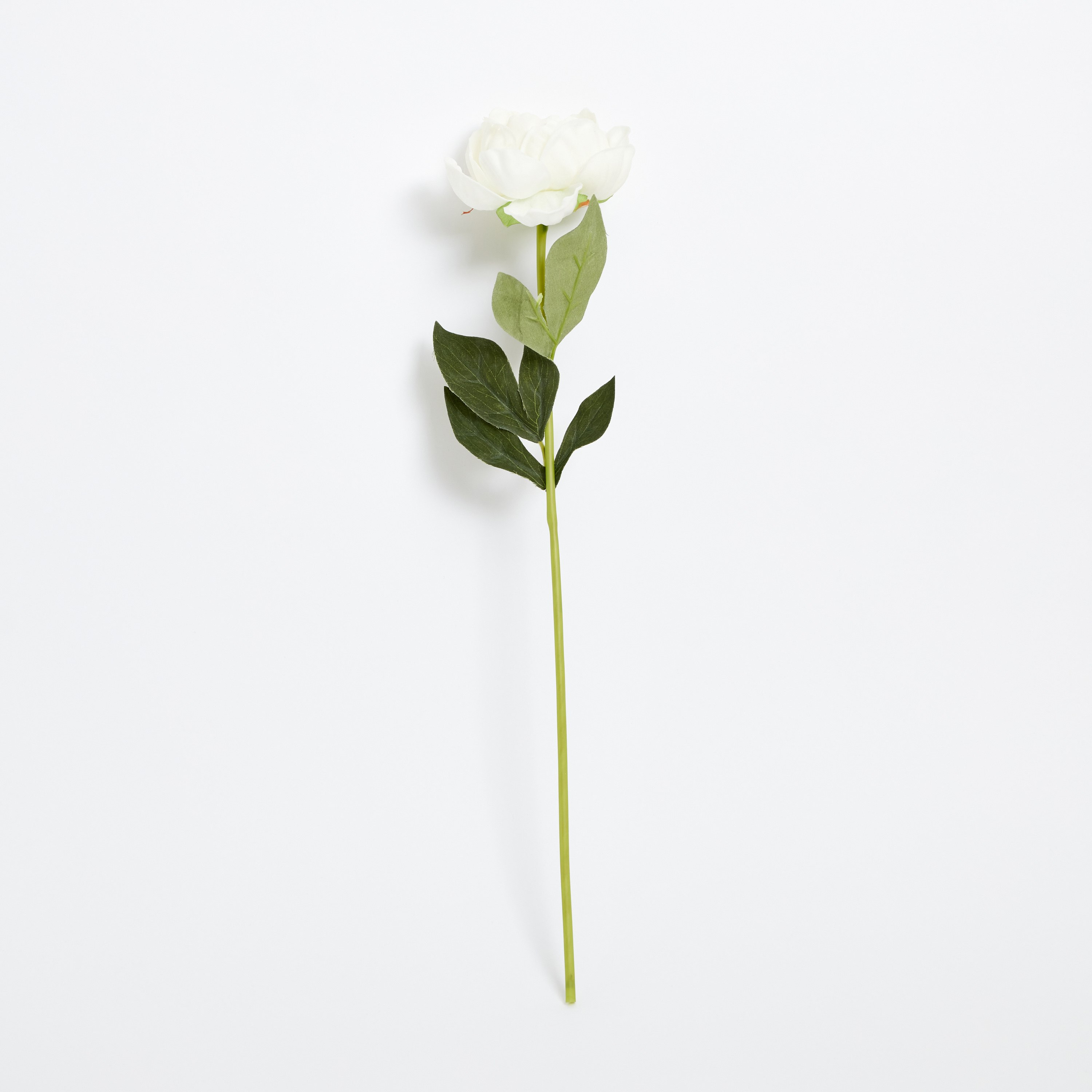 جذع زهرة من آريا - 51 سم-hbxdecorandfurnishings-homeaccessories-artificialflowersandplants-image-5