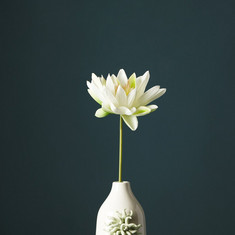 Aria Lotus Stick - 51 cms