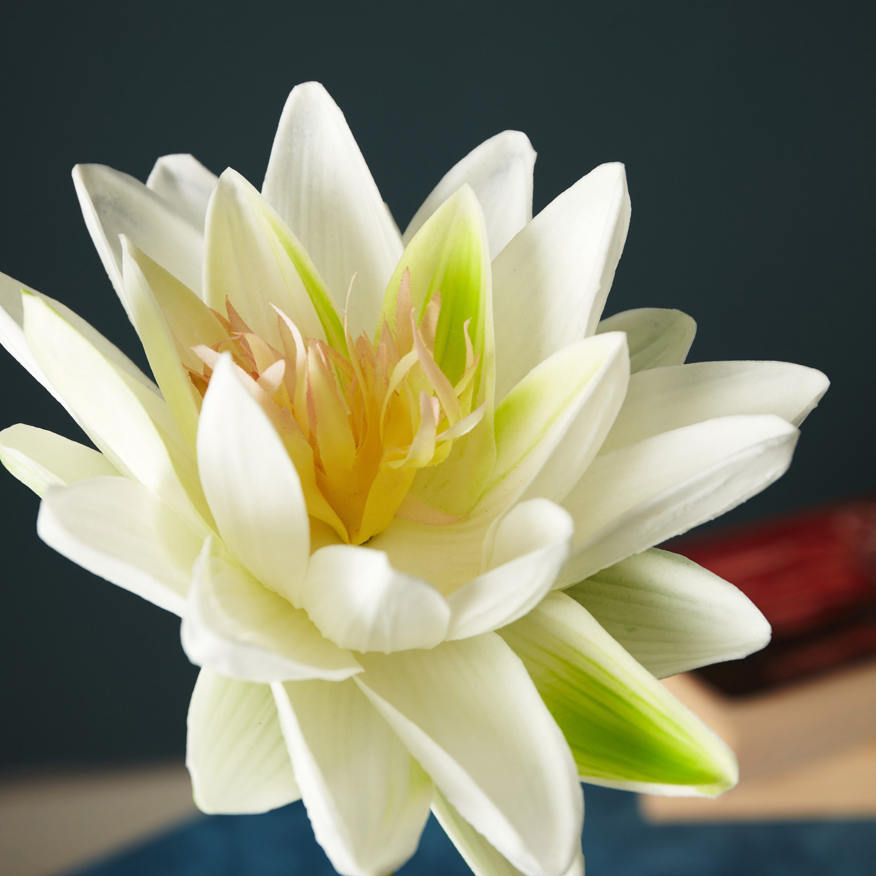 زهرة لوتس من آريا - 51 سم-hbxdecorandfurnishings-homeaccessories-artificialflowersandplants-image-2