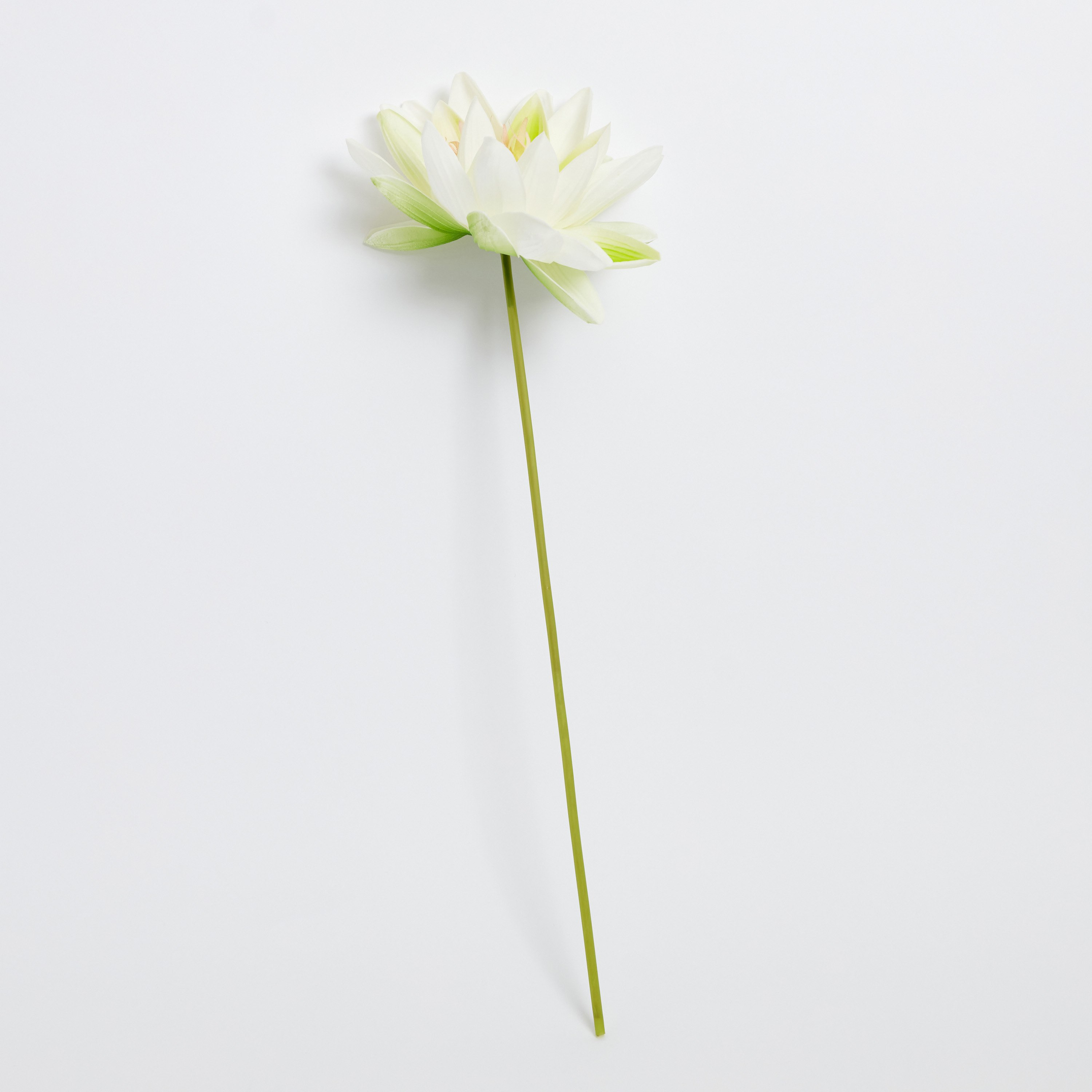 زهرة لوتس من آريا - 51 سم-hbxdecorandfurnishings-homeaccessories-artificialflowersandplants-image-5