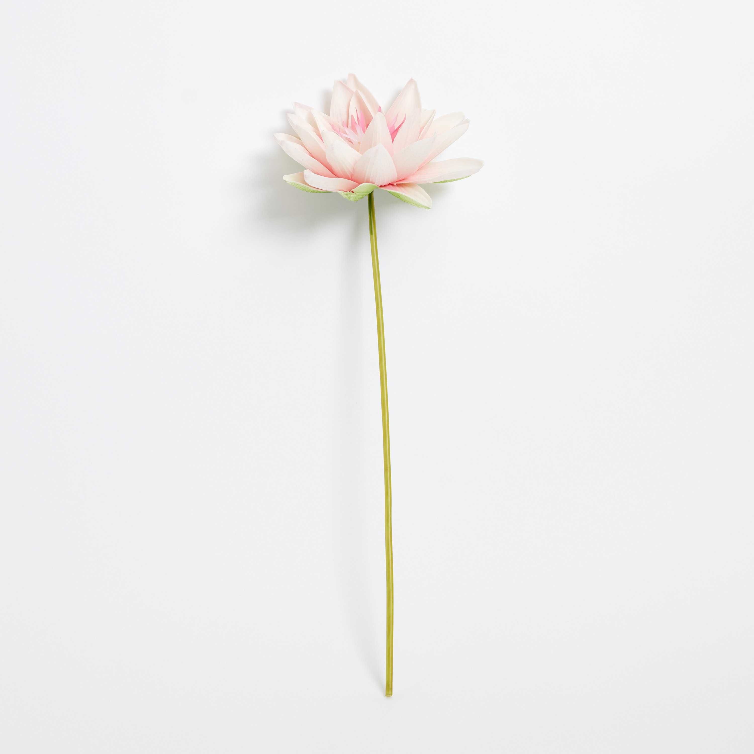جذع لوتس من آريا - 51 سم-hbxdecorandfurnishings-homeaccessories-artificialflowersandplants-image-5