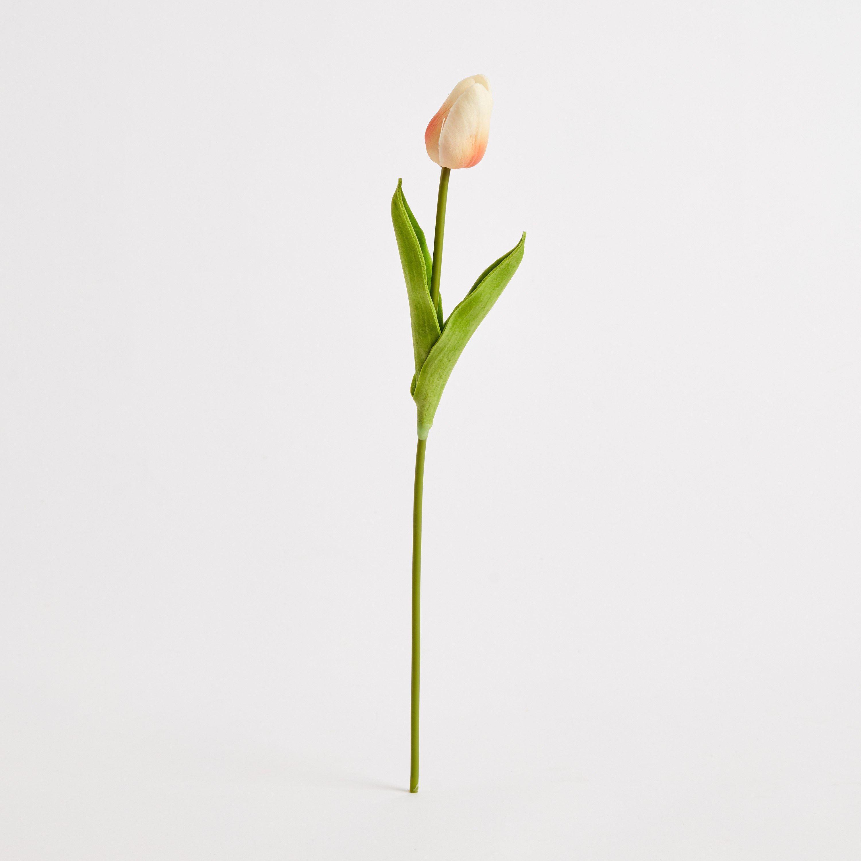 جذع زهرة توليب من البولي يوريثان من آريا - 36 سم-hbxdecorandfurnishings-homeaccessories-artificialflowersandplants-image-5