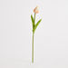 Aria PU Tulip Stem - 36 cm-Artificial Flowers and Plants-thumbnail-4