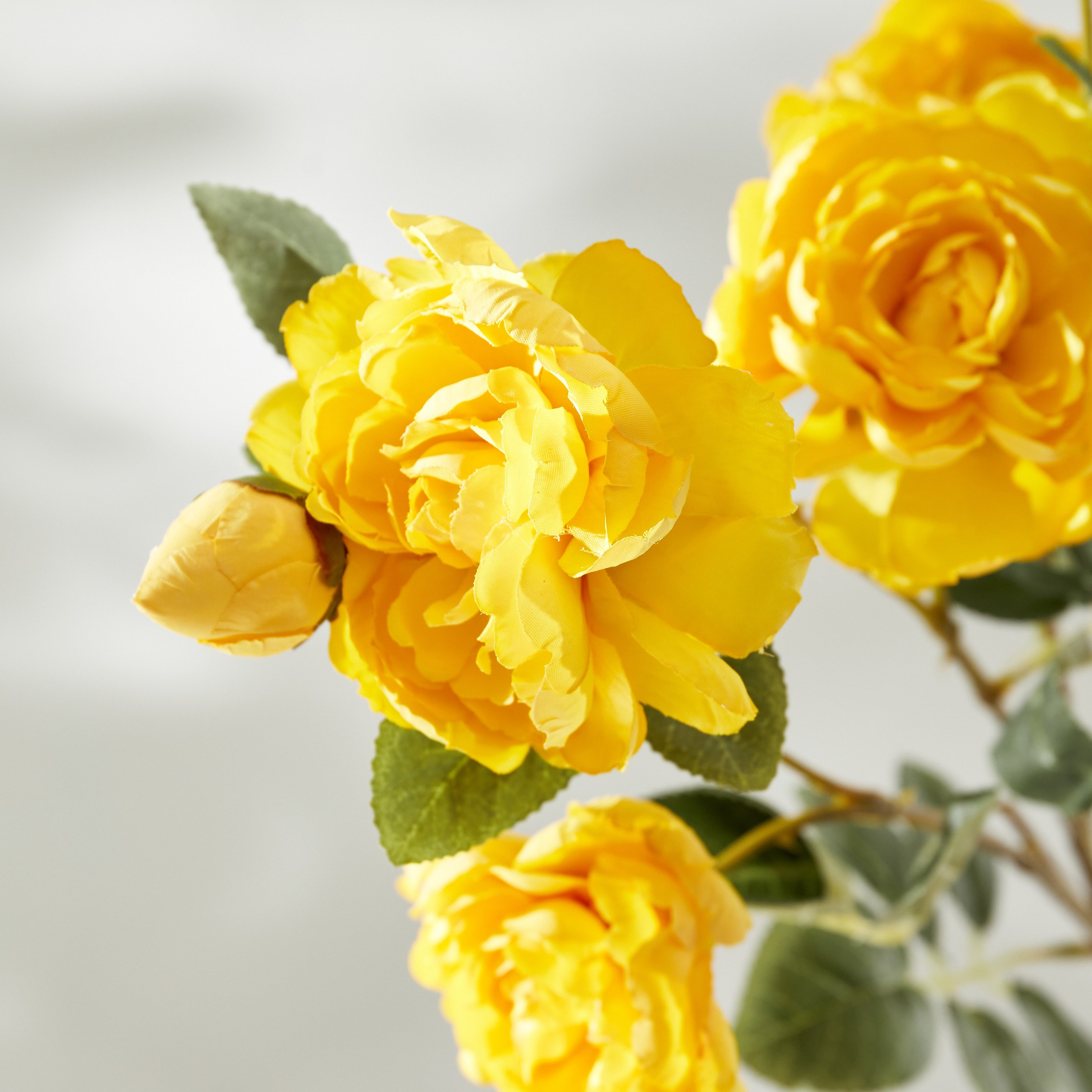 Aria 6-Heads Camellia Flowers Stem - 80 cm-hbxdecorandfurnishings-homeaccessories-artificialflowersandplants-image-3