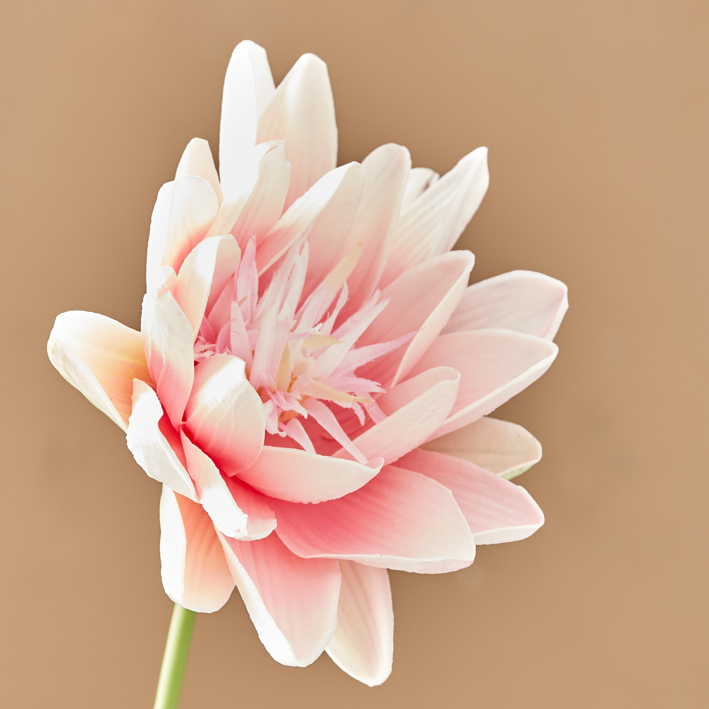 غصن زهرة اللوتس من آريا - 51 سم-hbxdecorandfurnishings-homeaccessories-artificialflowersandplants-image-2