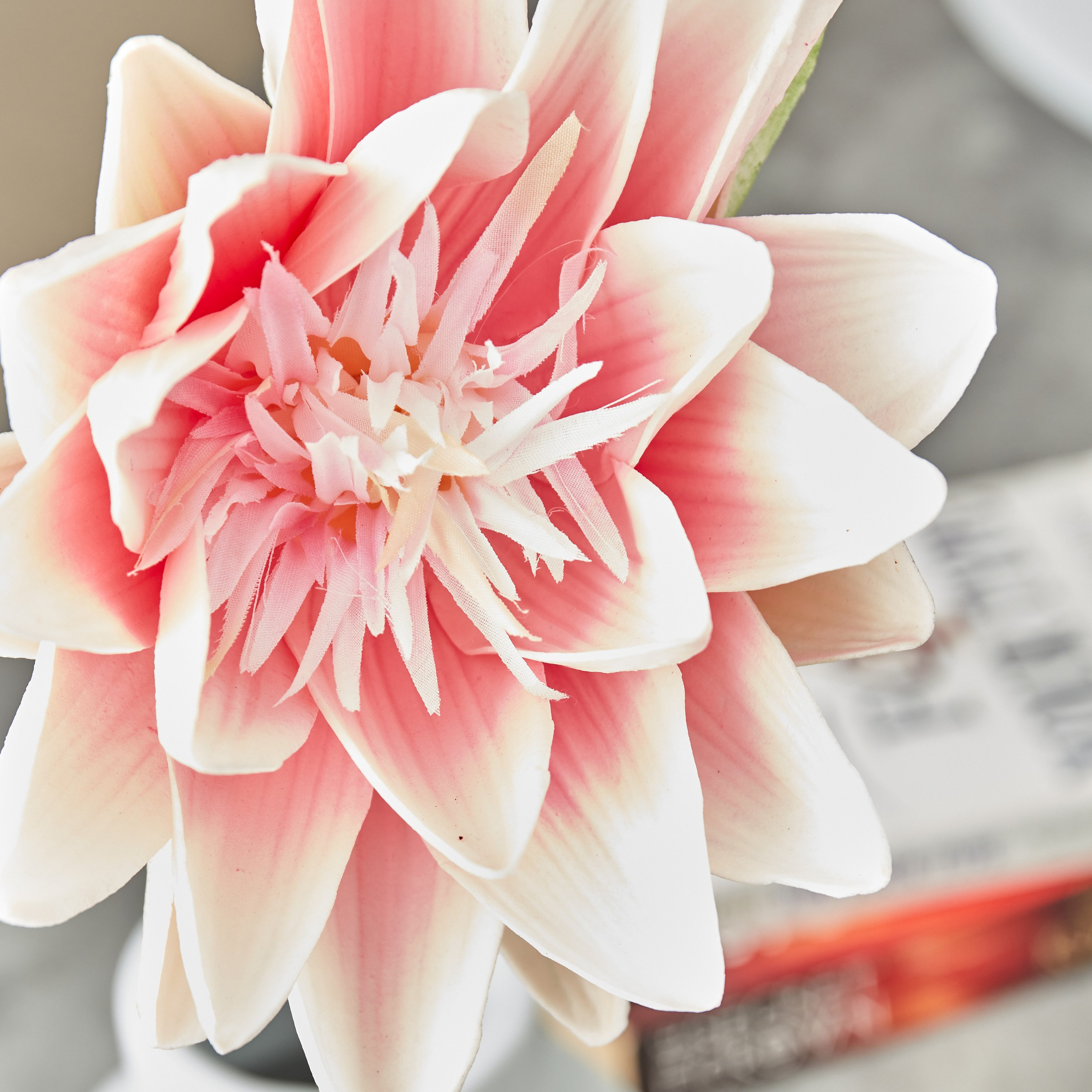 غصن زهرة اللوتس من آريا - 51 سم-hbxdecorandfurnishings-homeaccessories-artificialflowersandplants-image-3